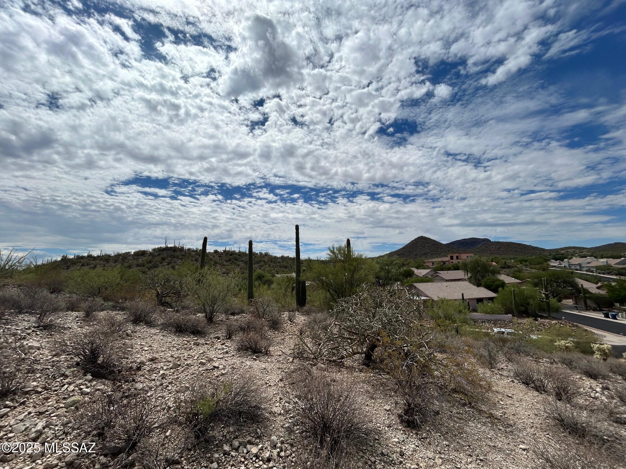 Coyote Pass Amended - Land