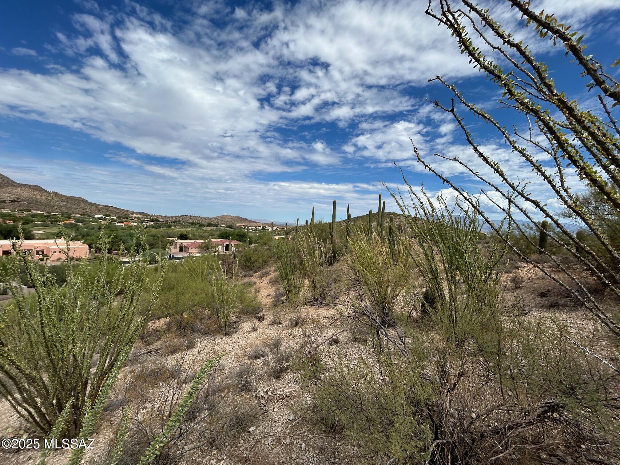 Coyote Pass Amended - Land
