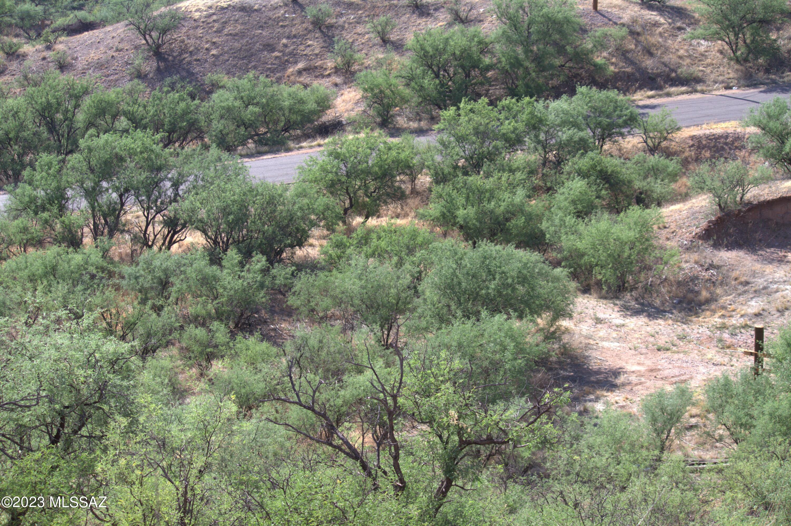 Rio Rico Estates - Land