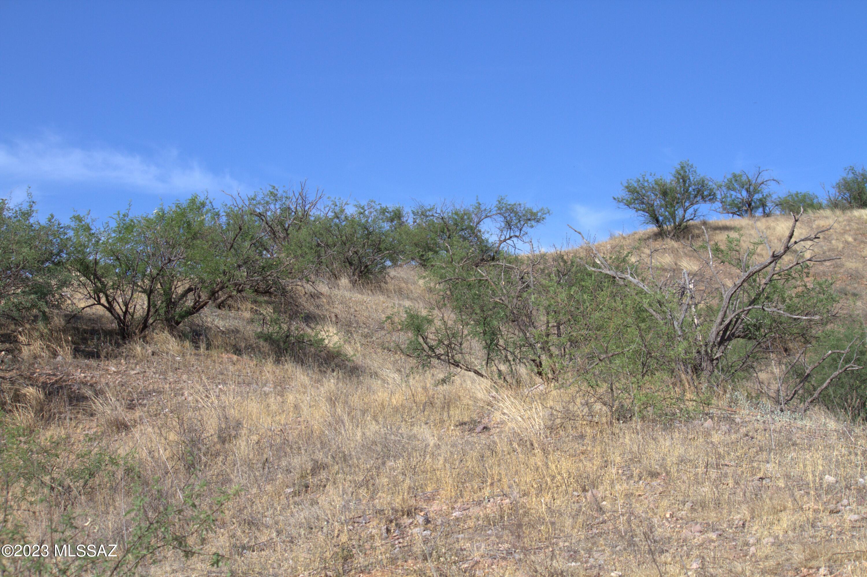 Rio Rico Estates - Land