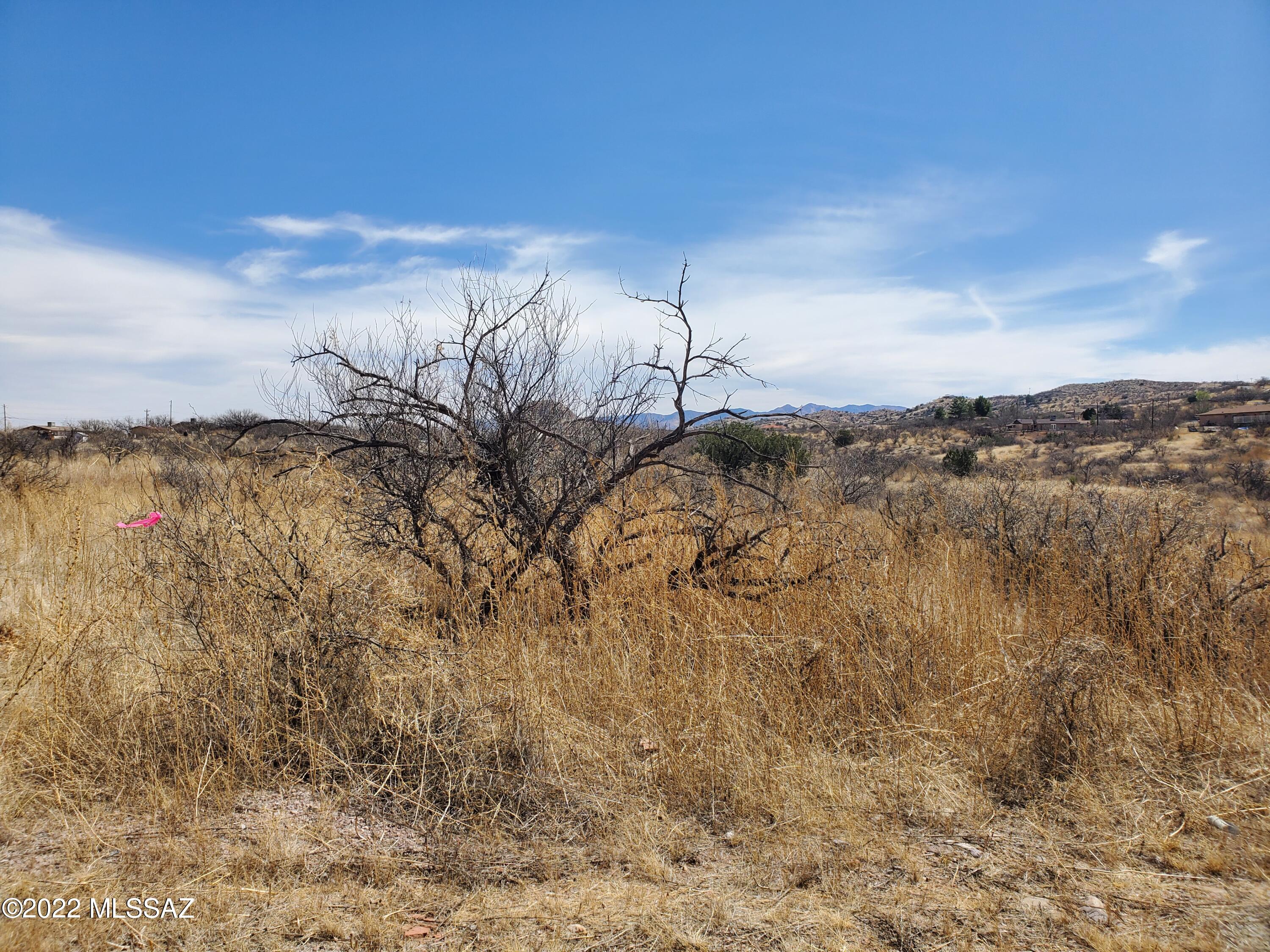 Rio Rico Estates 10 - Land