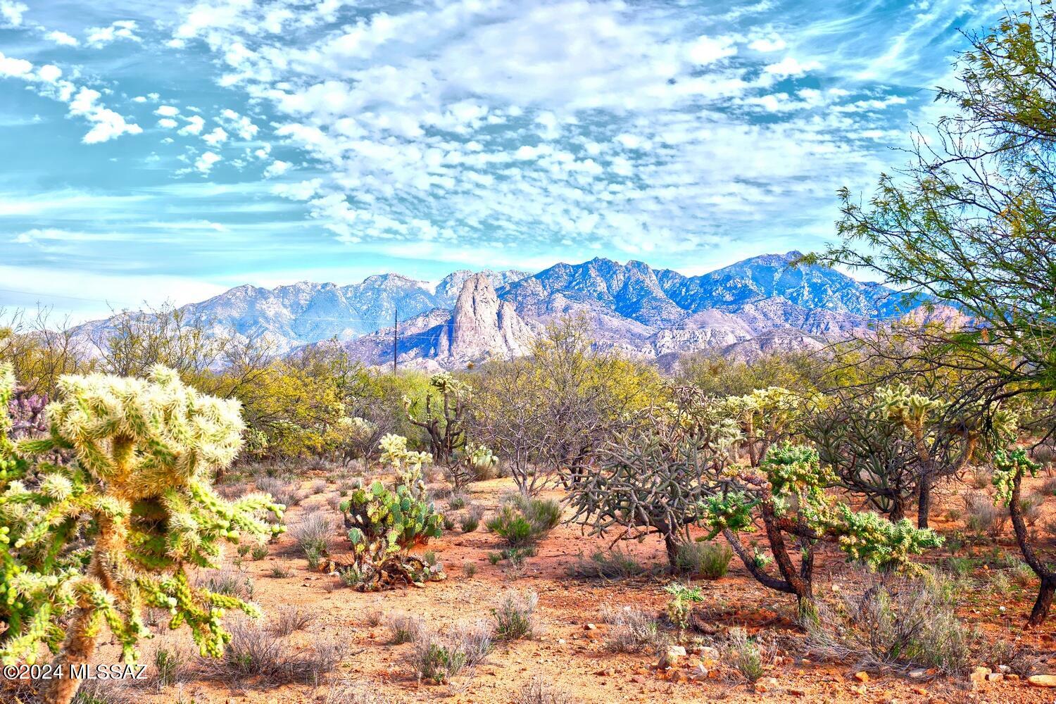 Don't miss out on this promising opportunity to own a 5-acre rural retreat or a place to call home with a touch of nature. The southern edge is bordered by State Trust Land with amazing views of Elephant Head Peak, along with the entire Santa Rita Mountain Range.  If that wasn't enough you will have panoramic views, sunrises, and sunsets.  After you are done taking in the scenery, this 5-acre parcel is equipped with: shared well, water lines, four water spickets, electrical conduit, one 200-amp pedestal with 30-amp RV hookup, 120 receptacles, water bib, second one with 30-amp RV hookup with 120 receptacles and 2 water spickets, septic tank, leach field, and a sewer hookup. The parcel comes with a cleared and leveled 60 ft. by 160ft section along with a gravel driveway. No HOA and zoning for horses and manufactured homes which gives flexibility to potential buyers. This lot is ready to go!