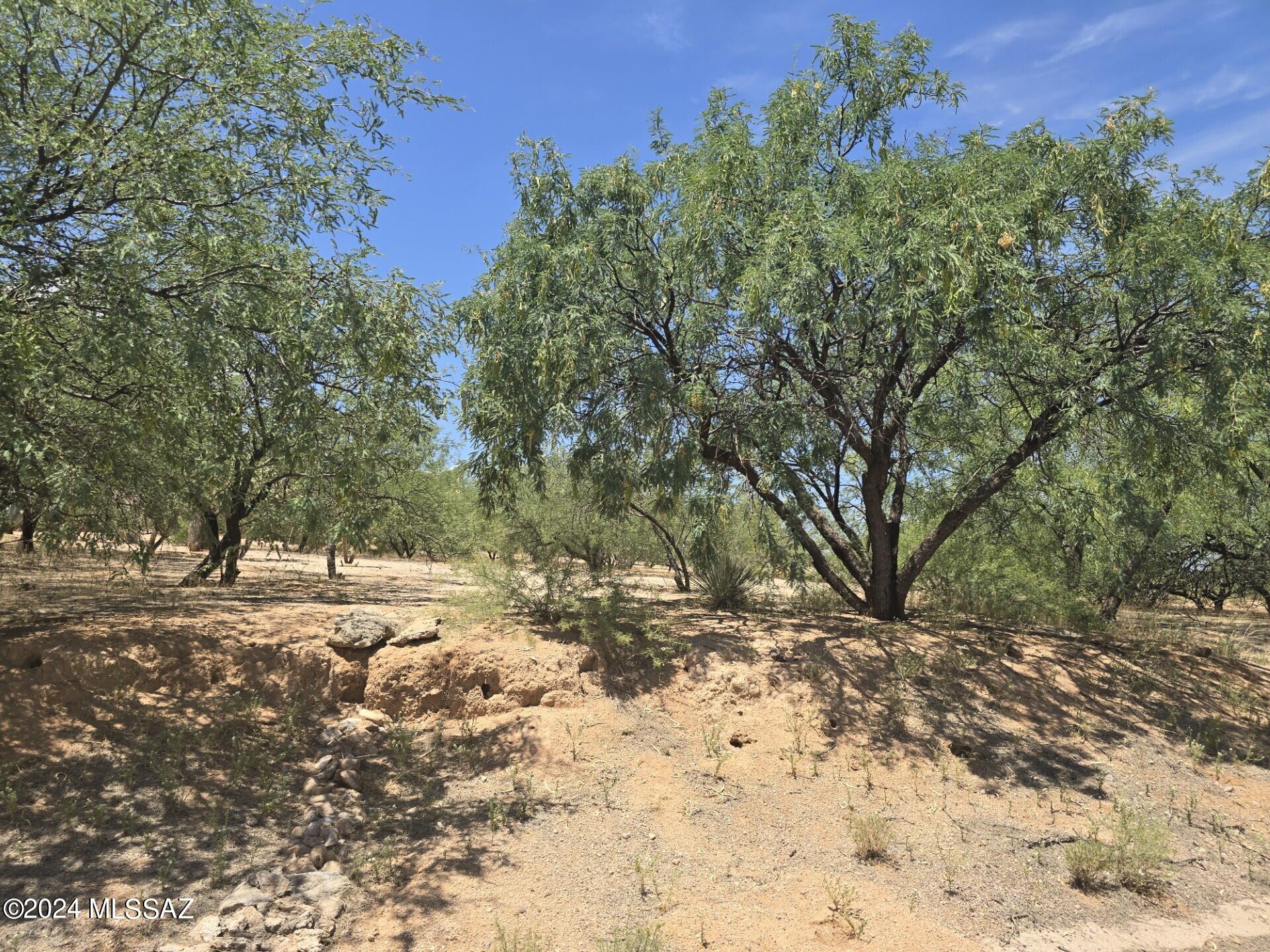 Build your Dream Home in desirable Loma Linda subdivision of Benson surrounded by custom site-built homes, with quick and easy access to schools, shopping, restaurants, medical services, etc. but away from highway and railroad noise. Lot is .26 acres.