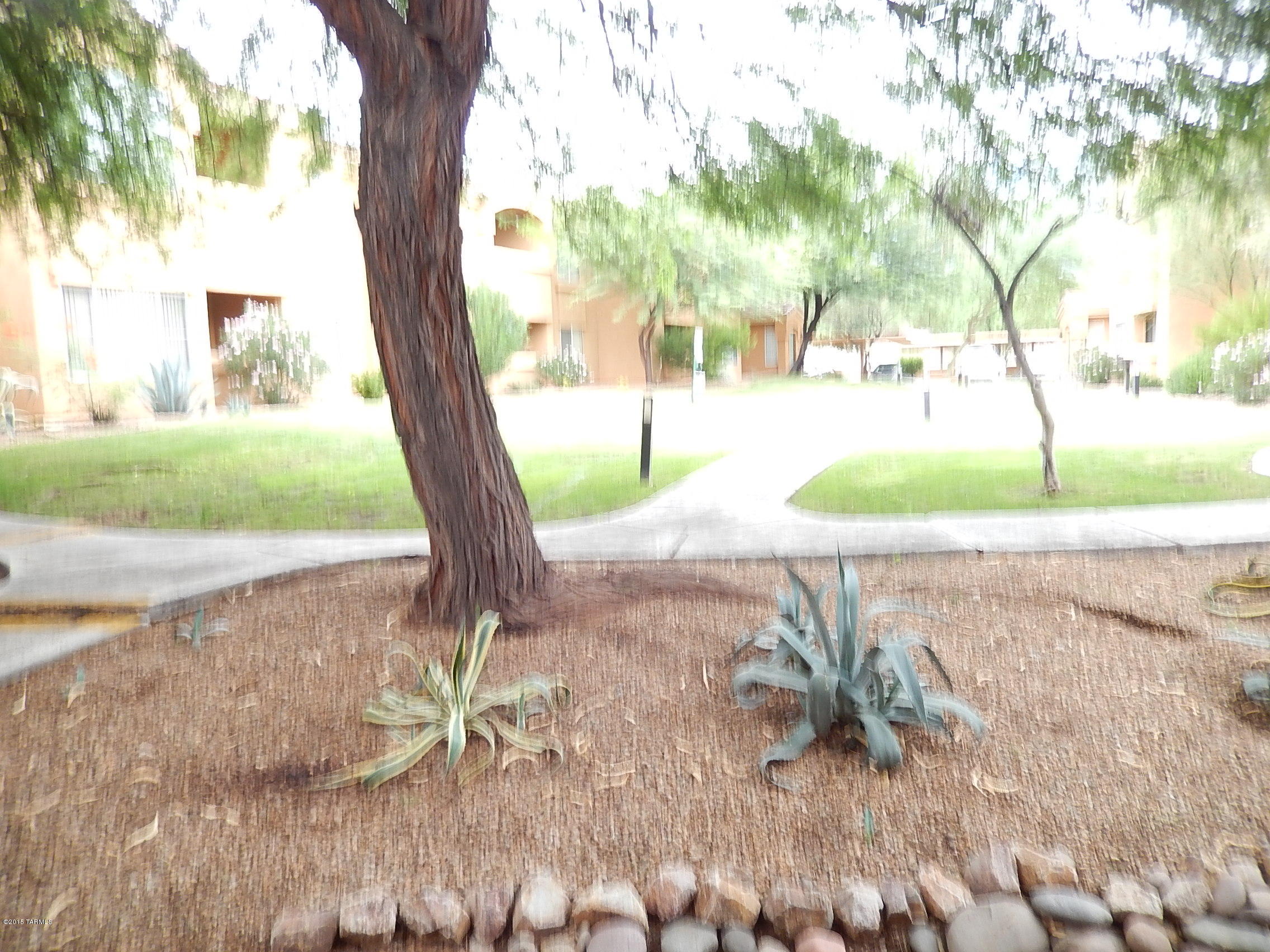 Pinnacle Canyon Condominium - Residential