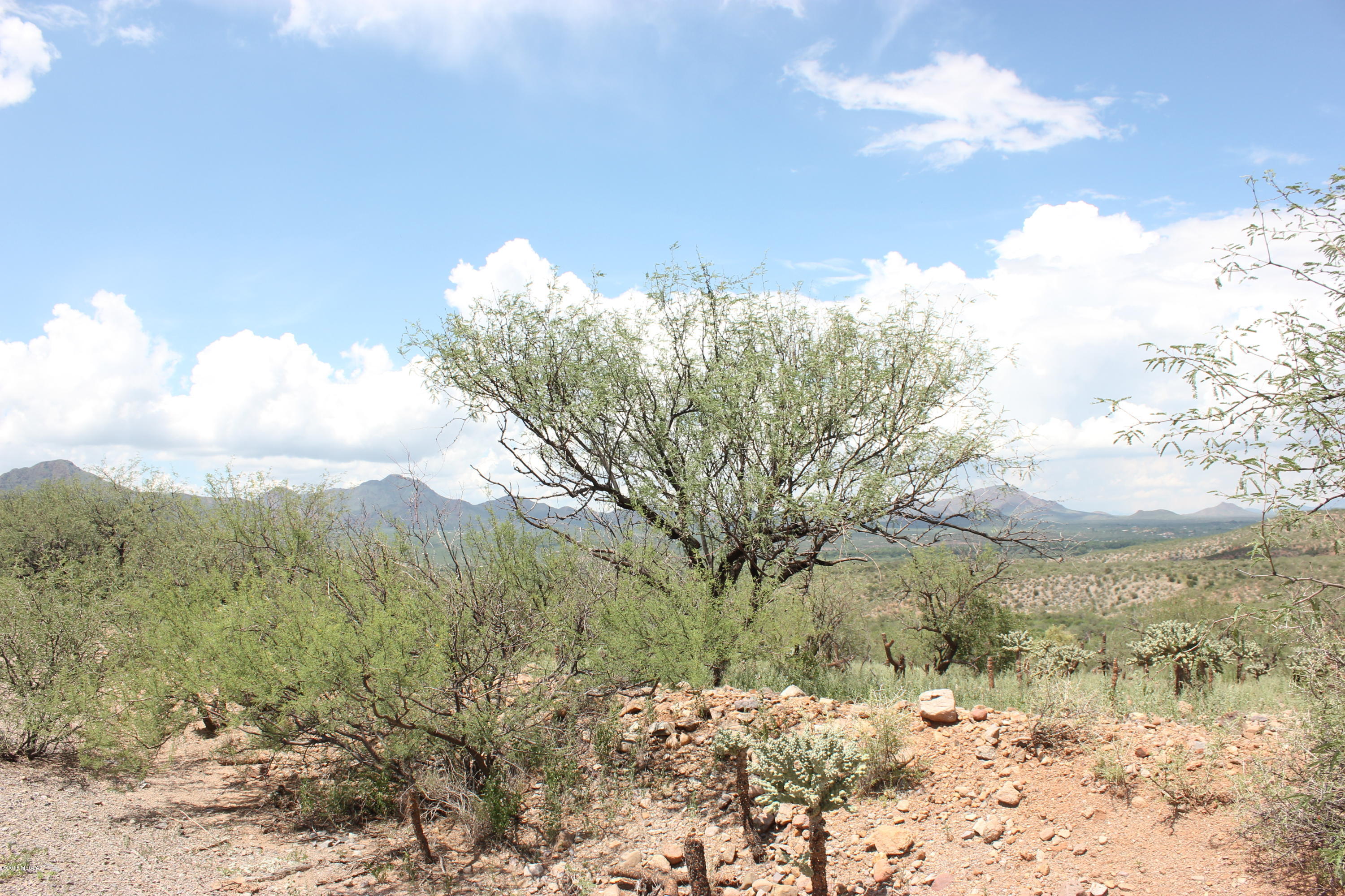 Beautiful acre + on lot with beautiful view. Priced to sell.