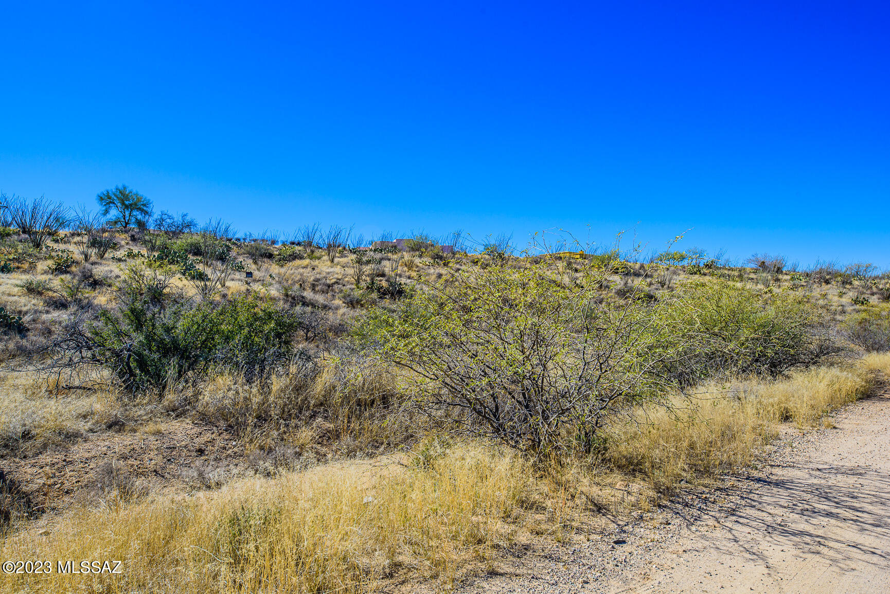 New Tucson Unit NO. 6 (1-75) - Land