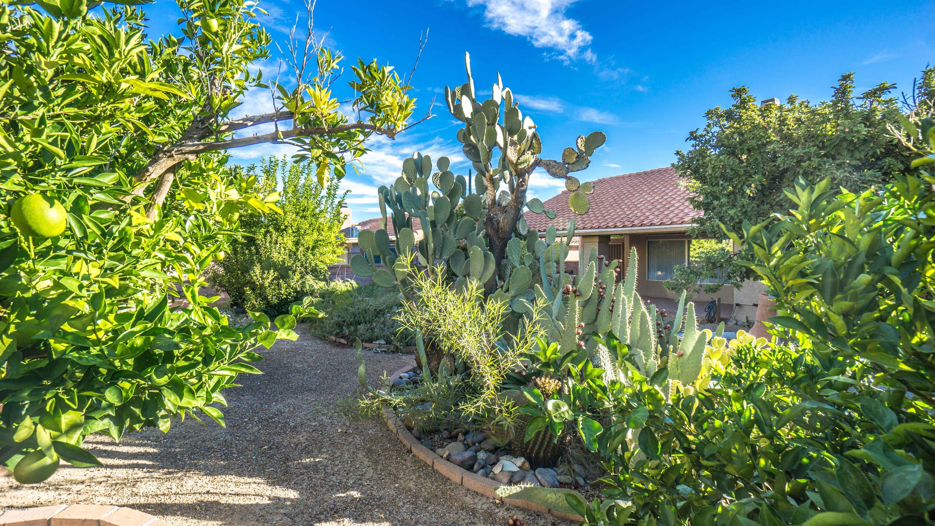 Colonia De Los Alamos - Residential