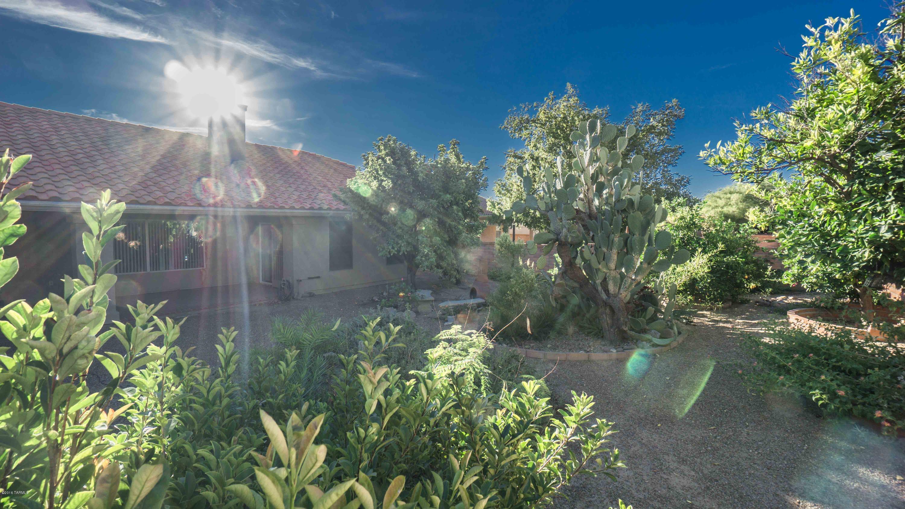 Colonia De Los Alamos - Residential