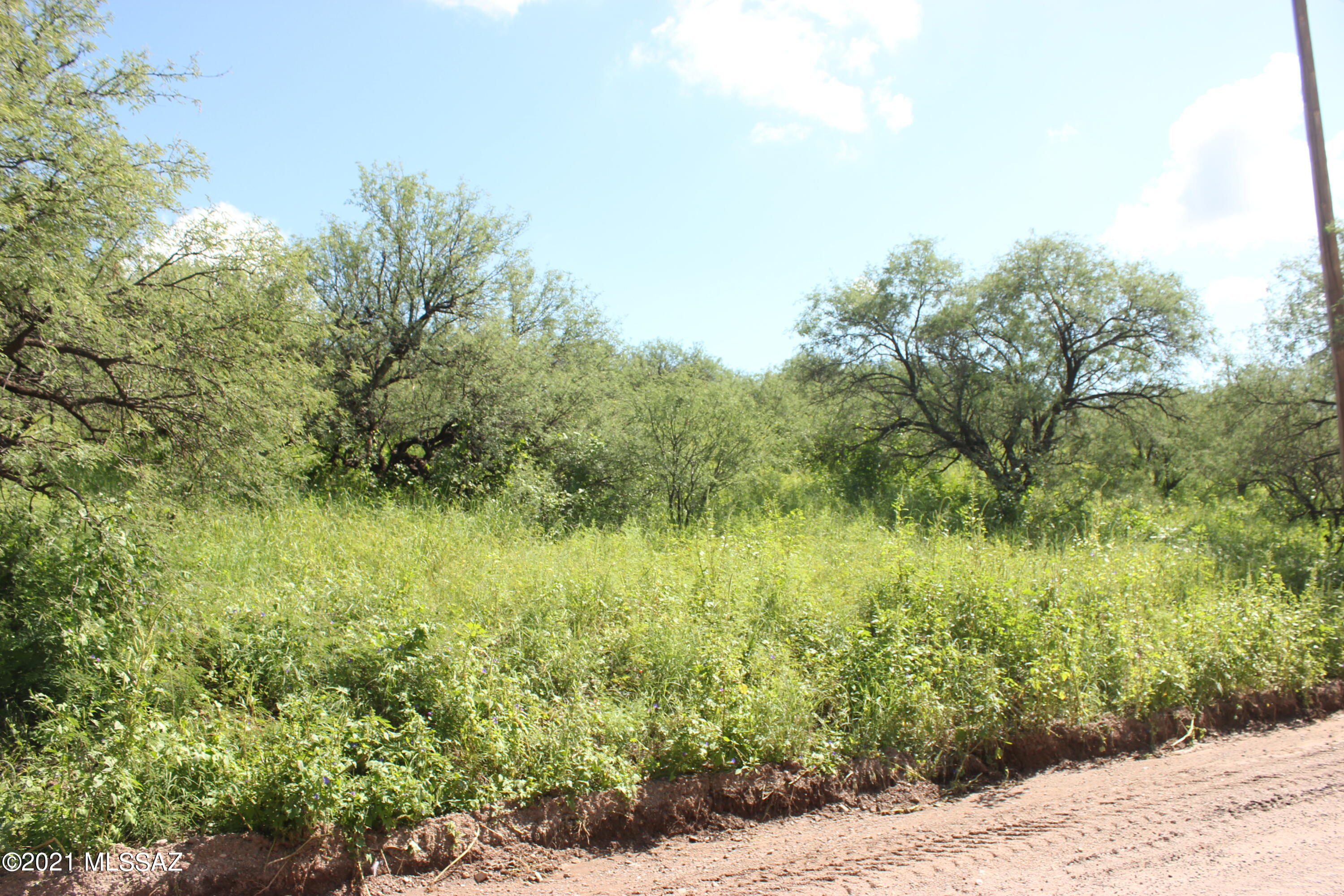 Rio Rico Ranchettes 5 - Land