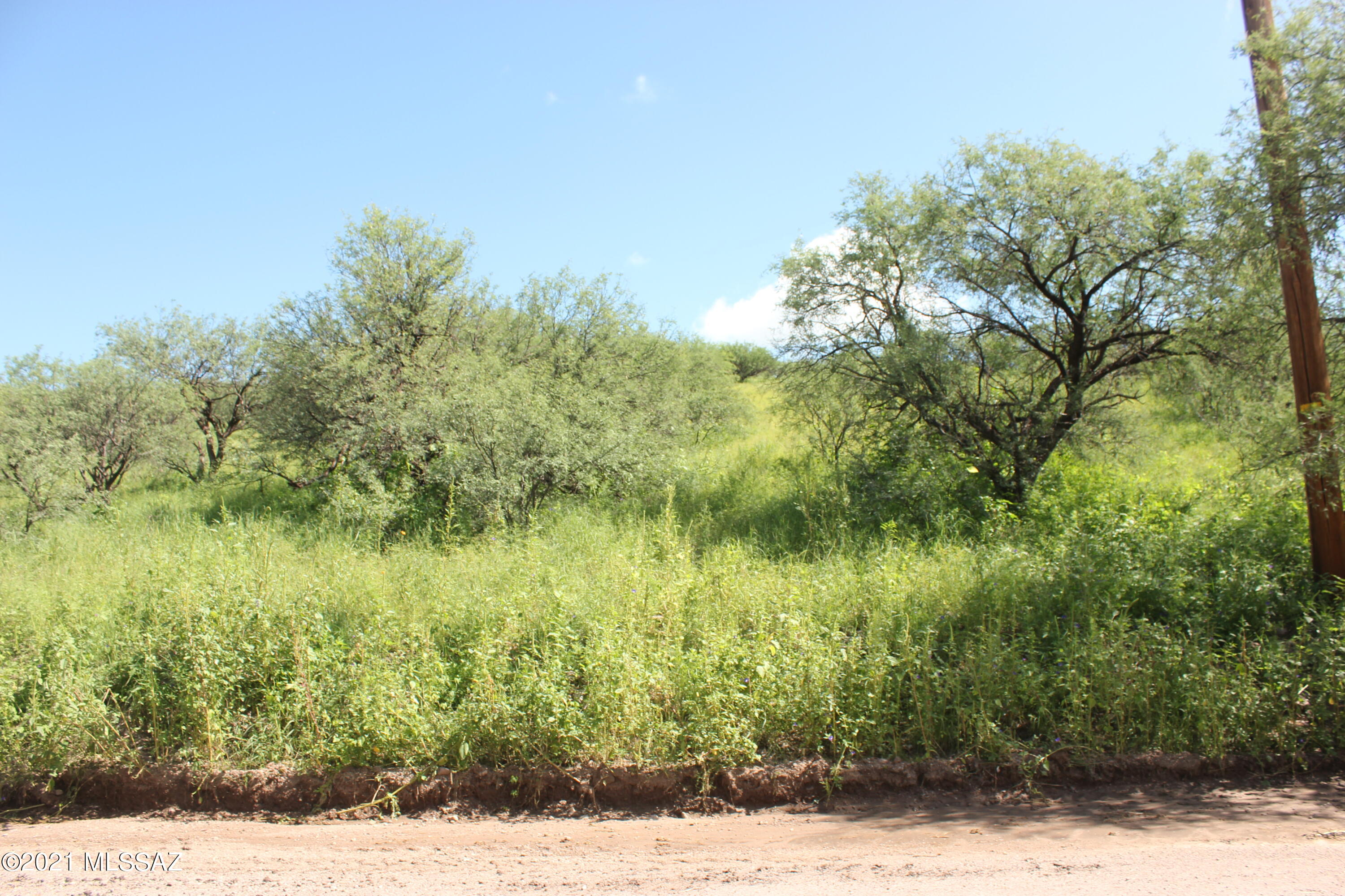 Rio Rico Ranchettes 5 - Land