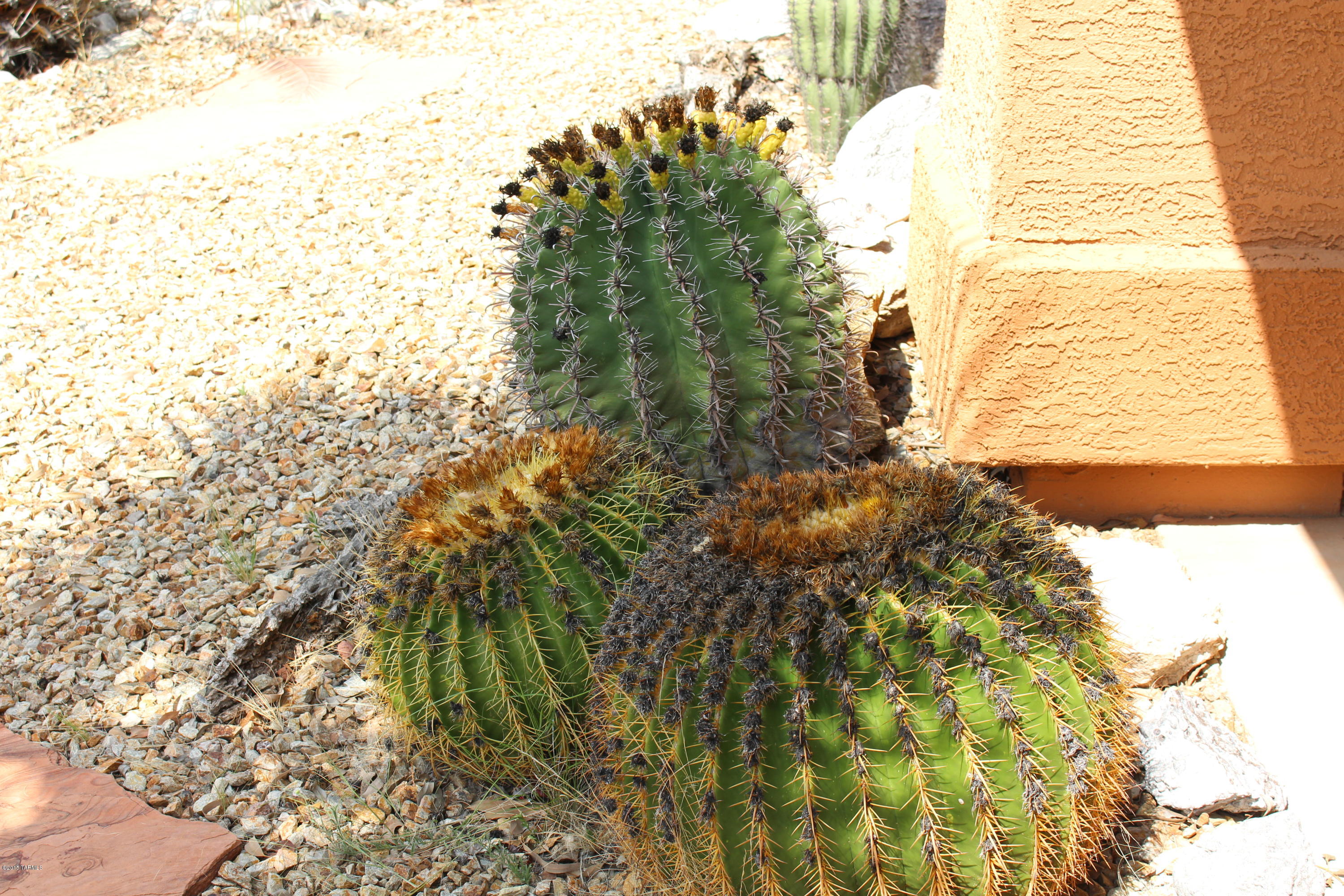 Rancho Del Rincon (1-74) - Residential