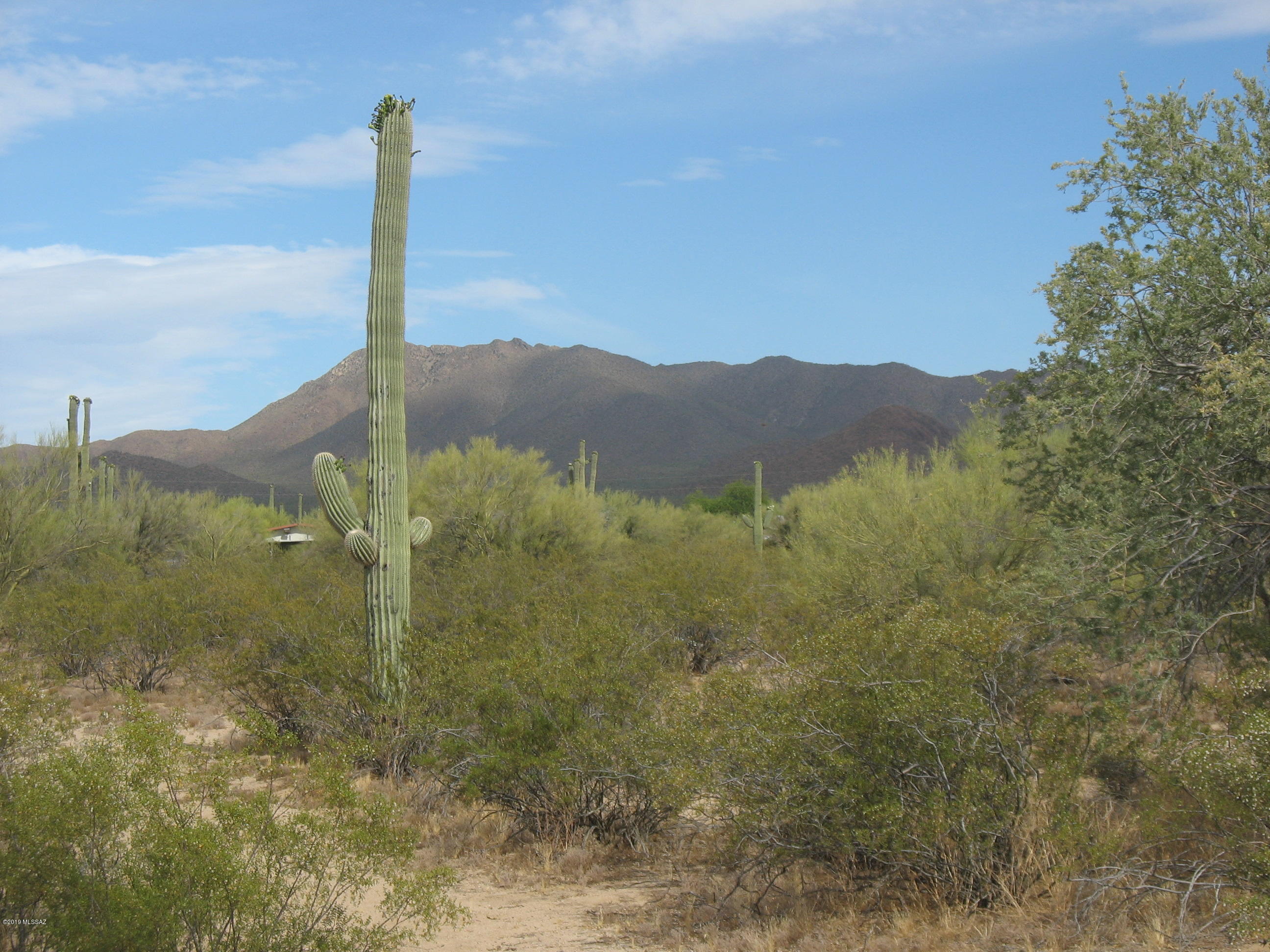 This is your rare opportunity to own over 5 acres that abuts Saguaro National Park land on your north side!  This property is located on a corner where Sunset Road turns to the south and again to the east.  A map is included with this listing.  This property also abuts the Old West Ranchettes subdivision to the west.  Located near Picture Rocks Elementary School and Park.  Prime building site with mountain views to the east and lush Sonoran desert vegetation throughout.  Choose your house orientation on this mostly level lot and bring your horses.