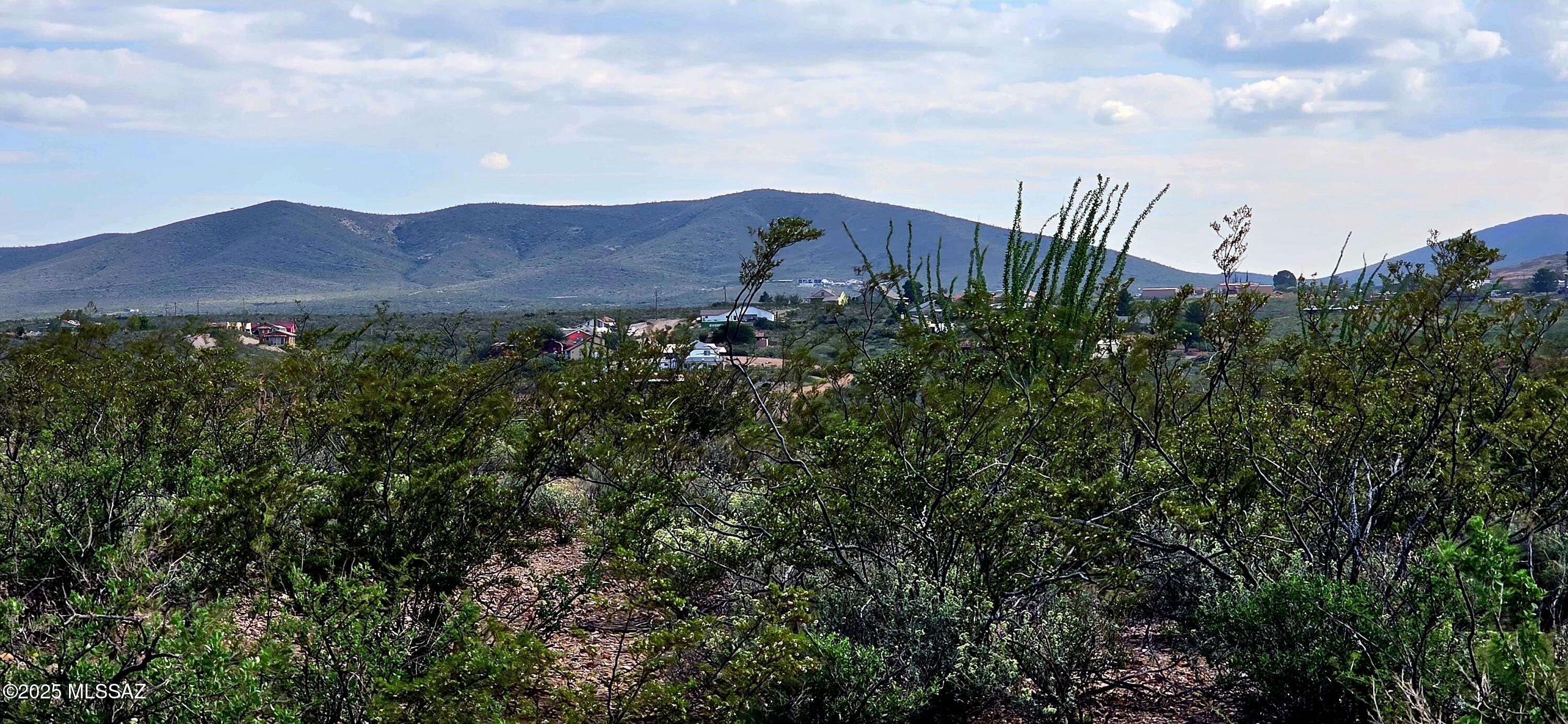 A spacious .57 acre lot with pleasing mountain views. The land is level in part. Zoned MH-1, manufactured homes are allowed. Water and electric are close to the property line, A short drive to the heart of Tombstone. Buyer to verify all facts and figures.
