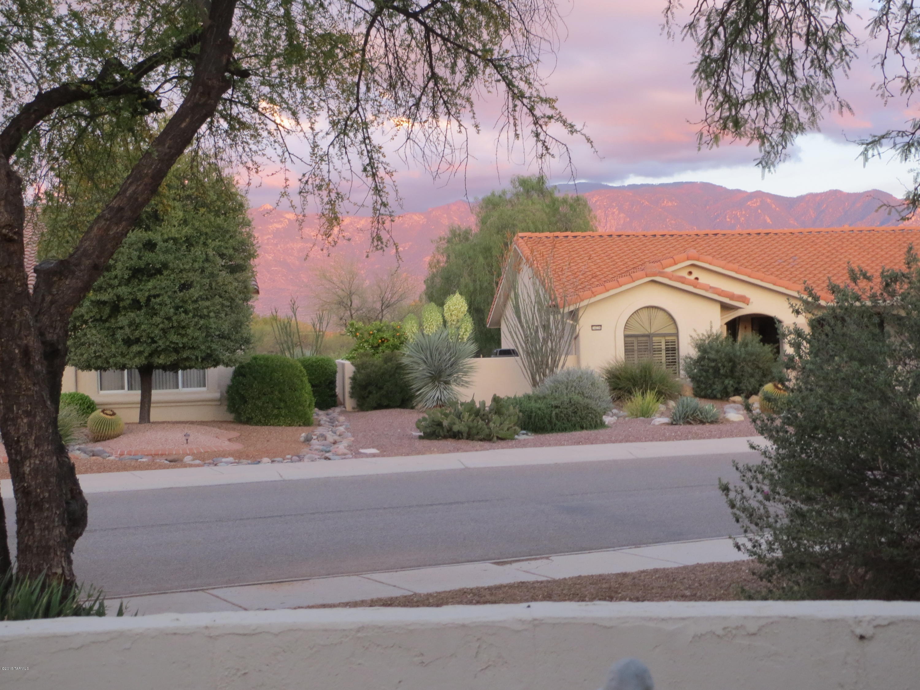 Sun City Vistoso Unit 8(1-67) - Residential