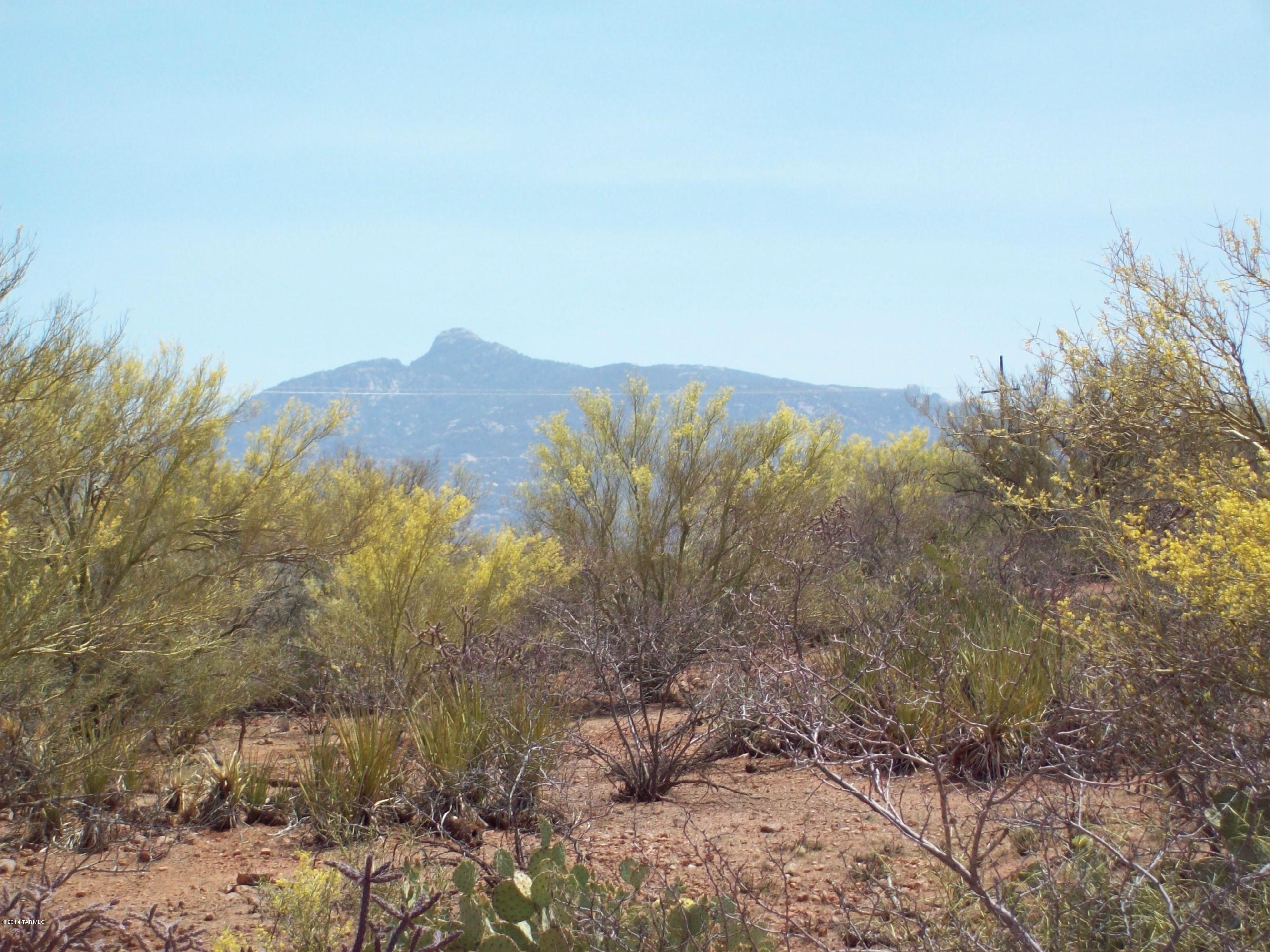 Mountain Creek Ranch (1-64) - Land