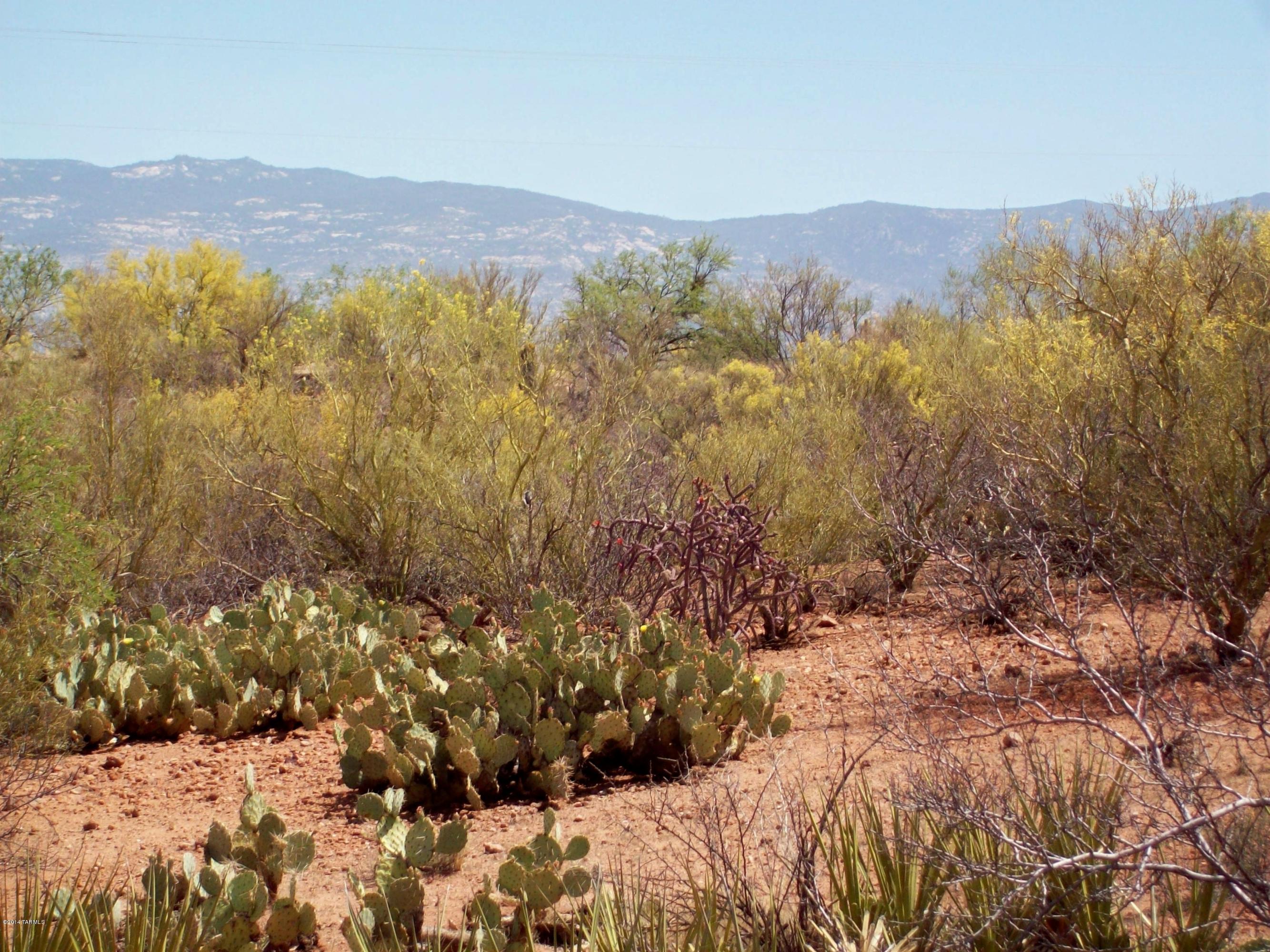 Mountain Creek Ranch (1-64) - Land