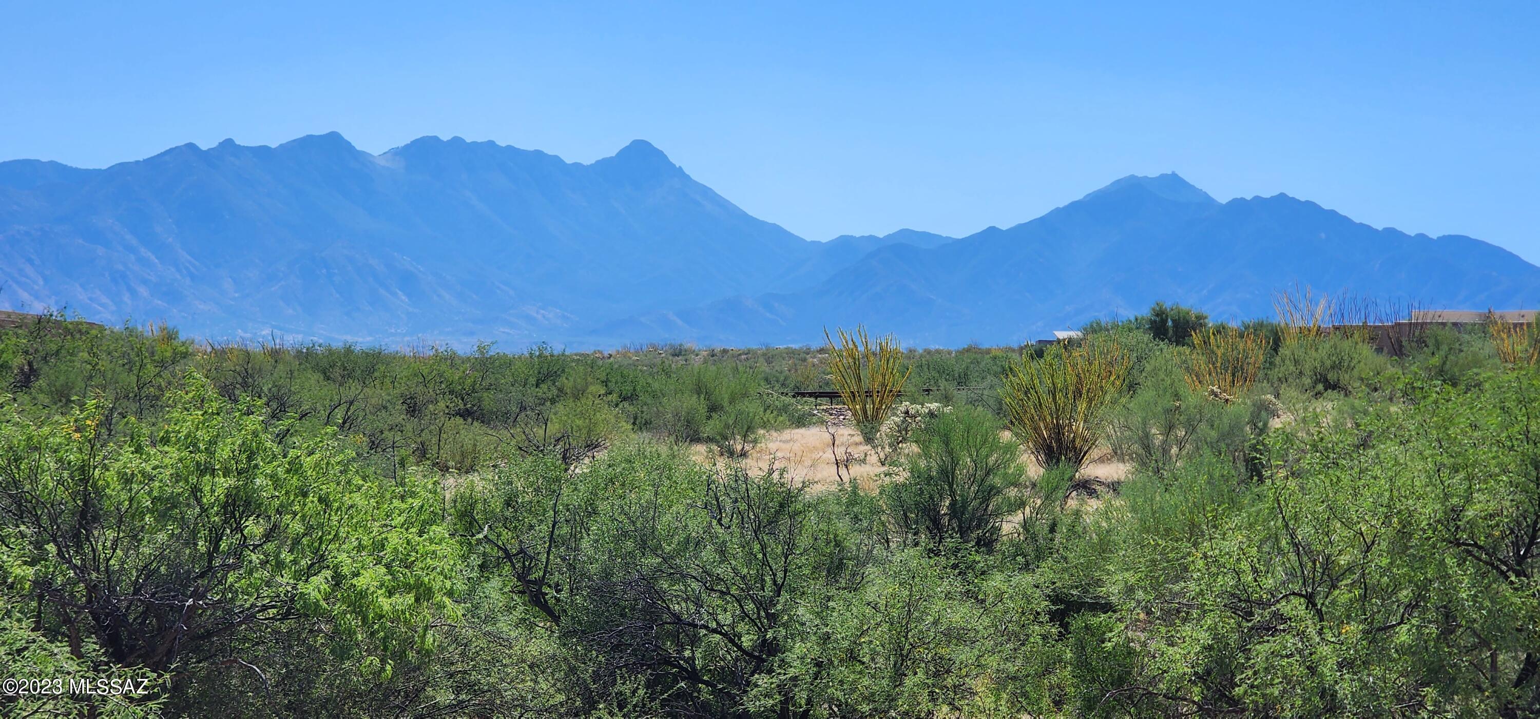 Exclusive custom homesite with majestic views of the Santa Rita mountains and the city of Green Valley. Gated community in the foothills of Madera Canyon with 103 acres of riparian conservation areas. Choose your own builder and take the opportunity to embrace this desert setting with your own custom home on one of the largest lots in the community with 2.54 acres. Non-age restricted, underground utilities (incl cable/internet). Minutes from schools, shopping, medical, 8 golf courses. Lot located in a cul de sac. Walk down the large flat building envelope to appreciate the unobstructed views. This property is surrounded by beautiful desert landscaping and wildlife in one of the most tranquil communities.
