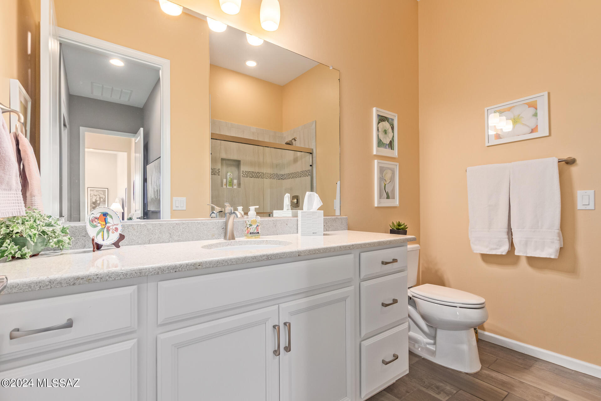 Rancho Vistoso Parcel 5F SQ20170690715 - Residential