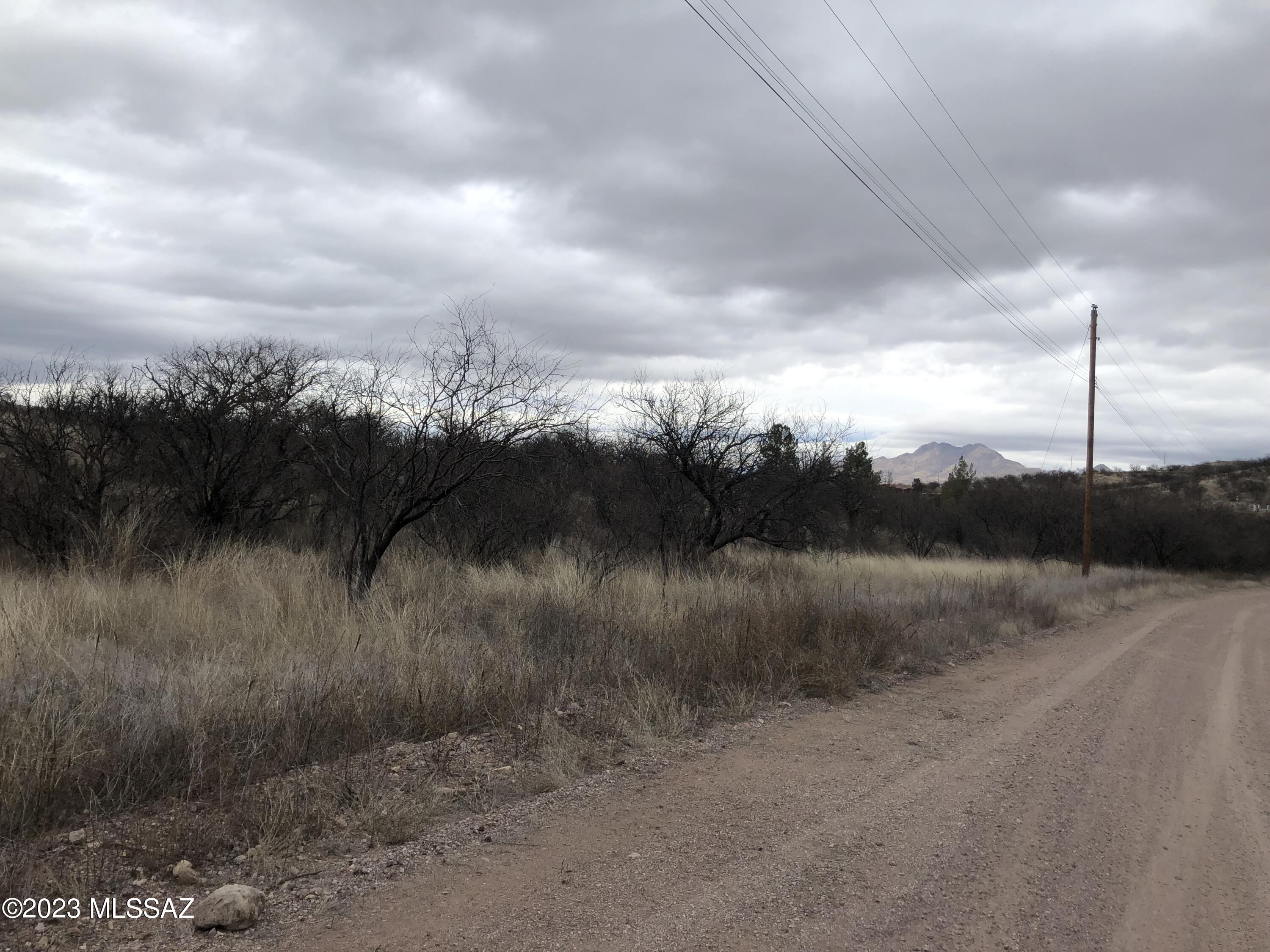 Rio Rico Ranchettes - Land