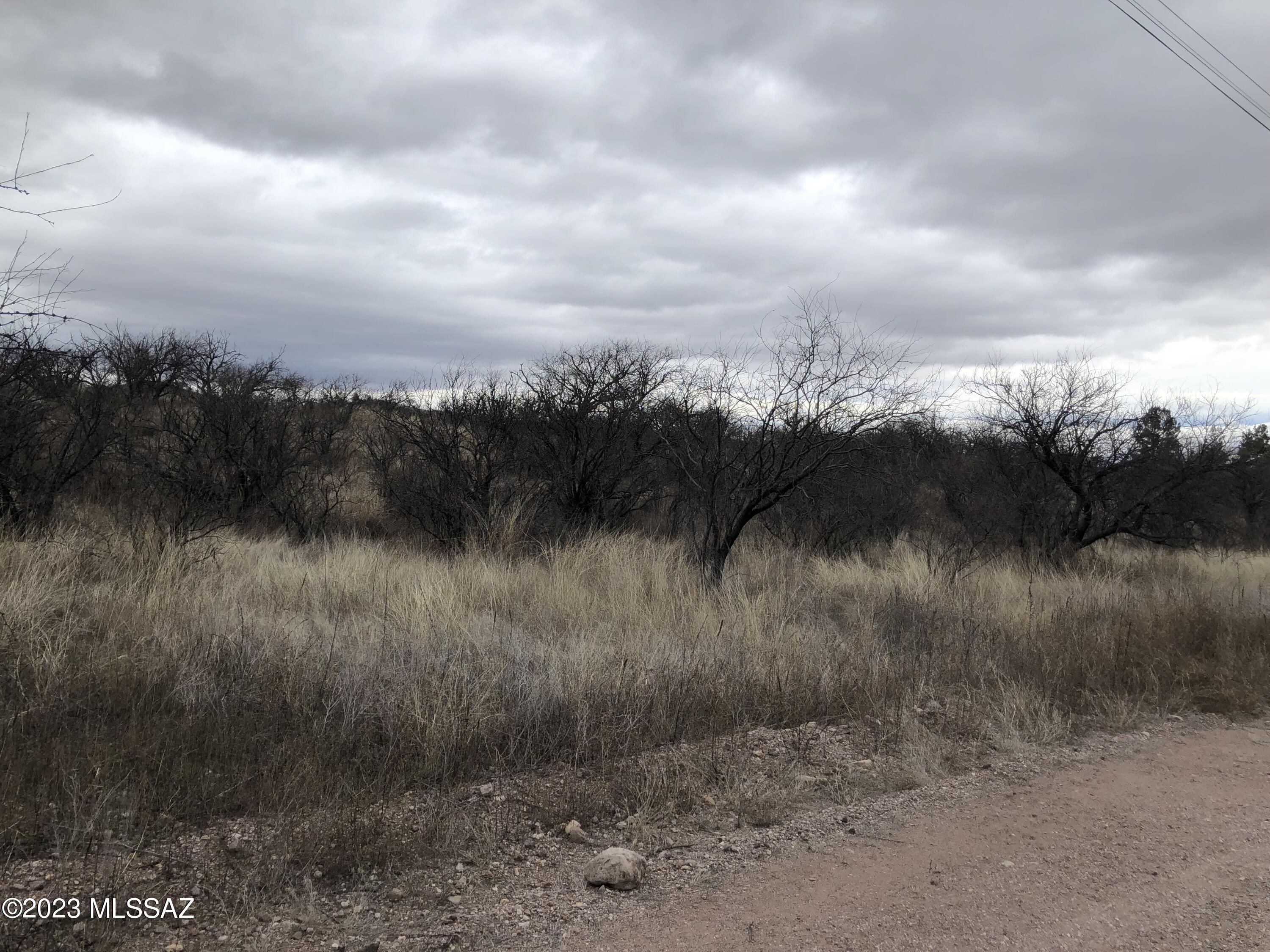 Rio Rico Ranchettes - Land