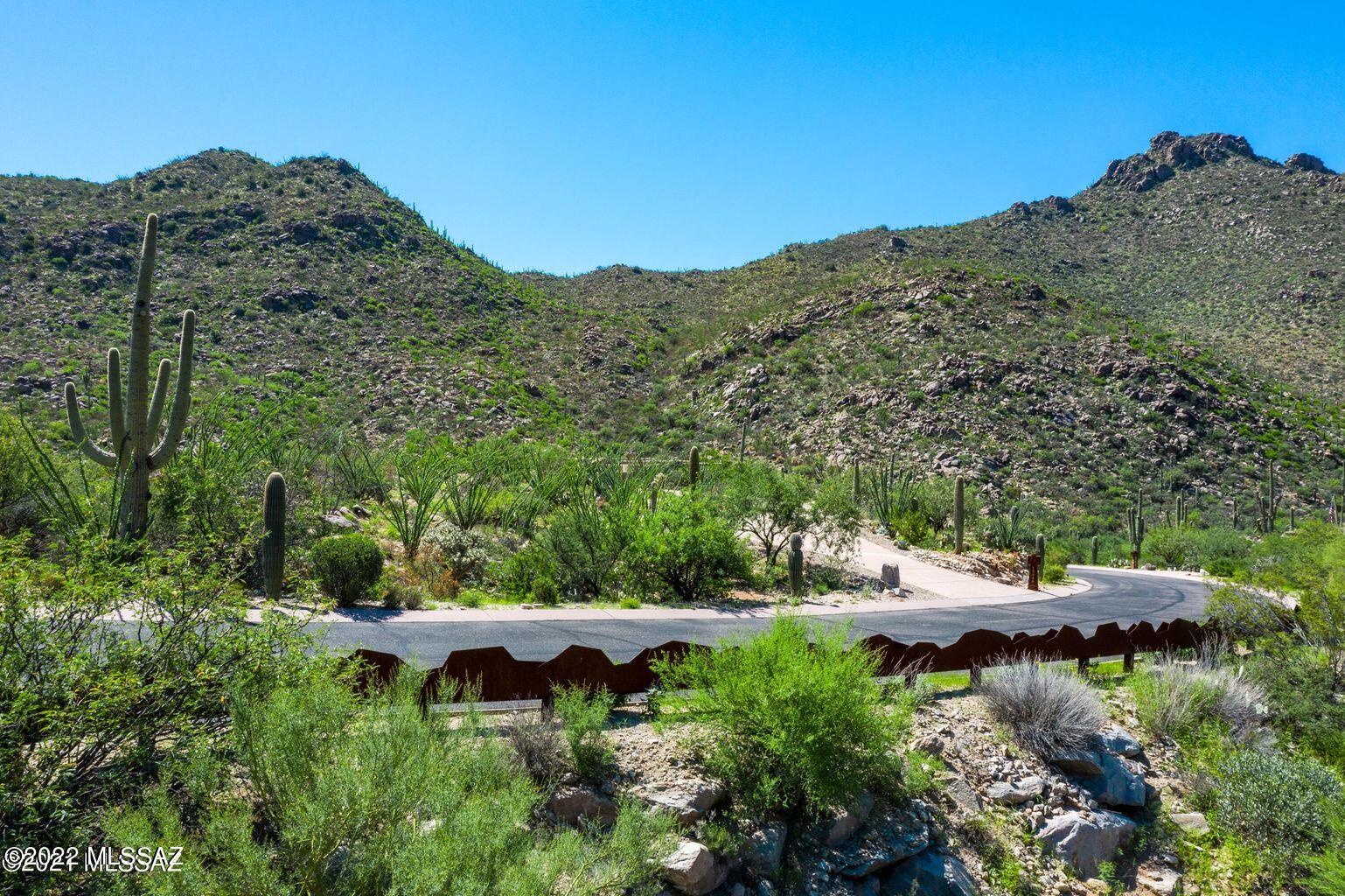 Canyon Pass III At Dove Mountain (111-181) - Land