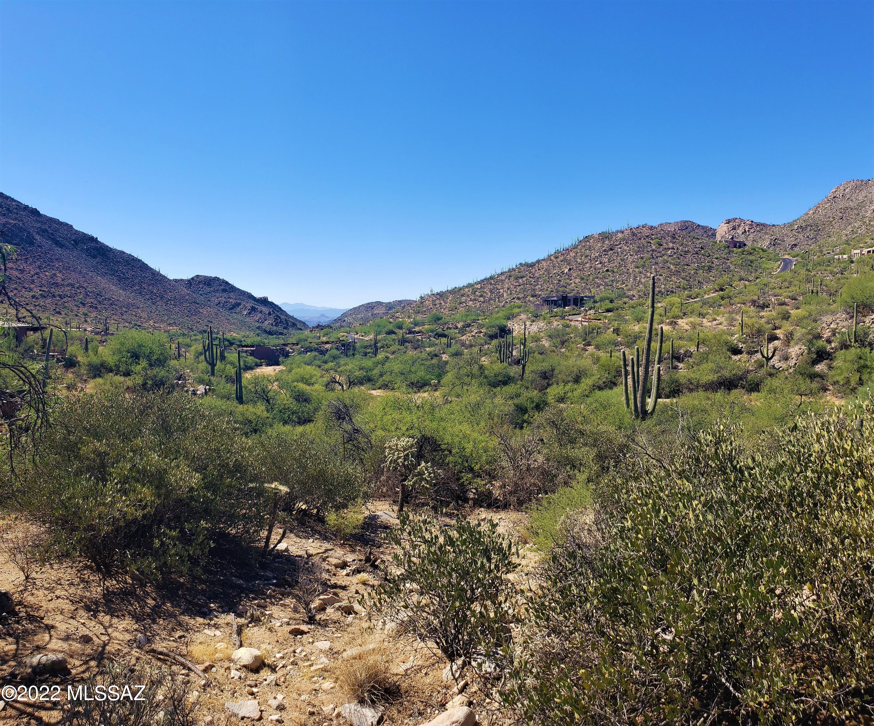 Canyon Pass III At Dove Mountain (111-181) - Land
