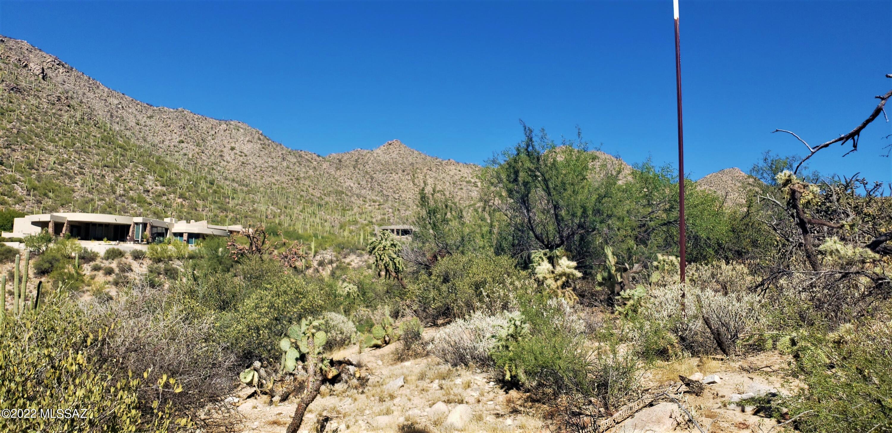 Canyon Pass III At Dove Mountain (111-181) - Land