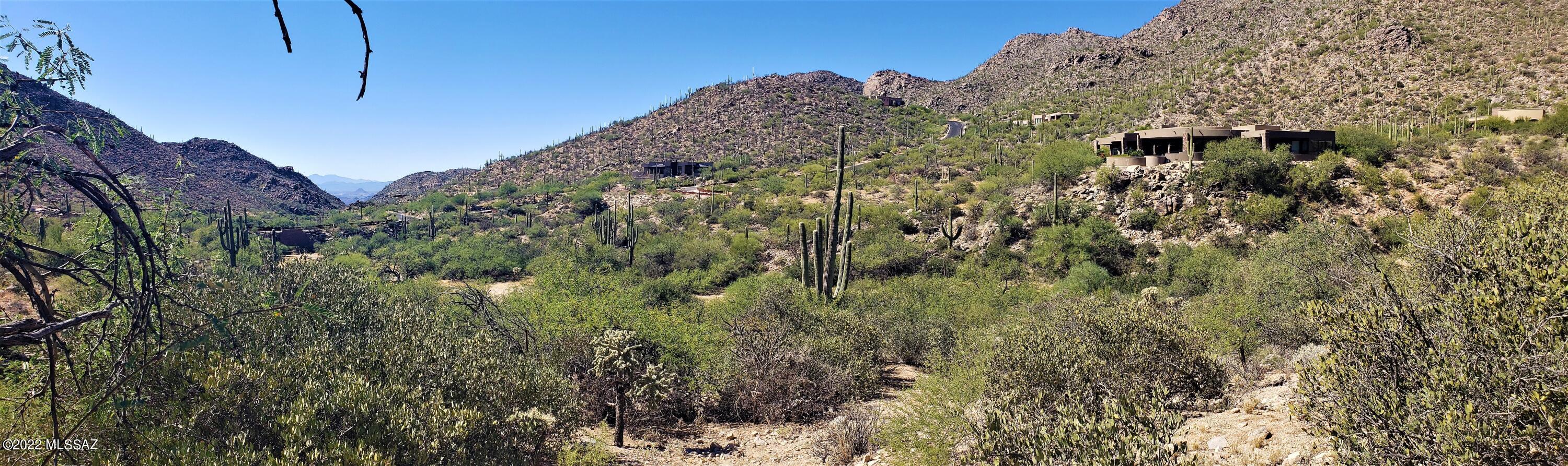 Canyon Pass III At Dove Mountain (111-181) - Land