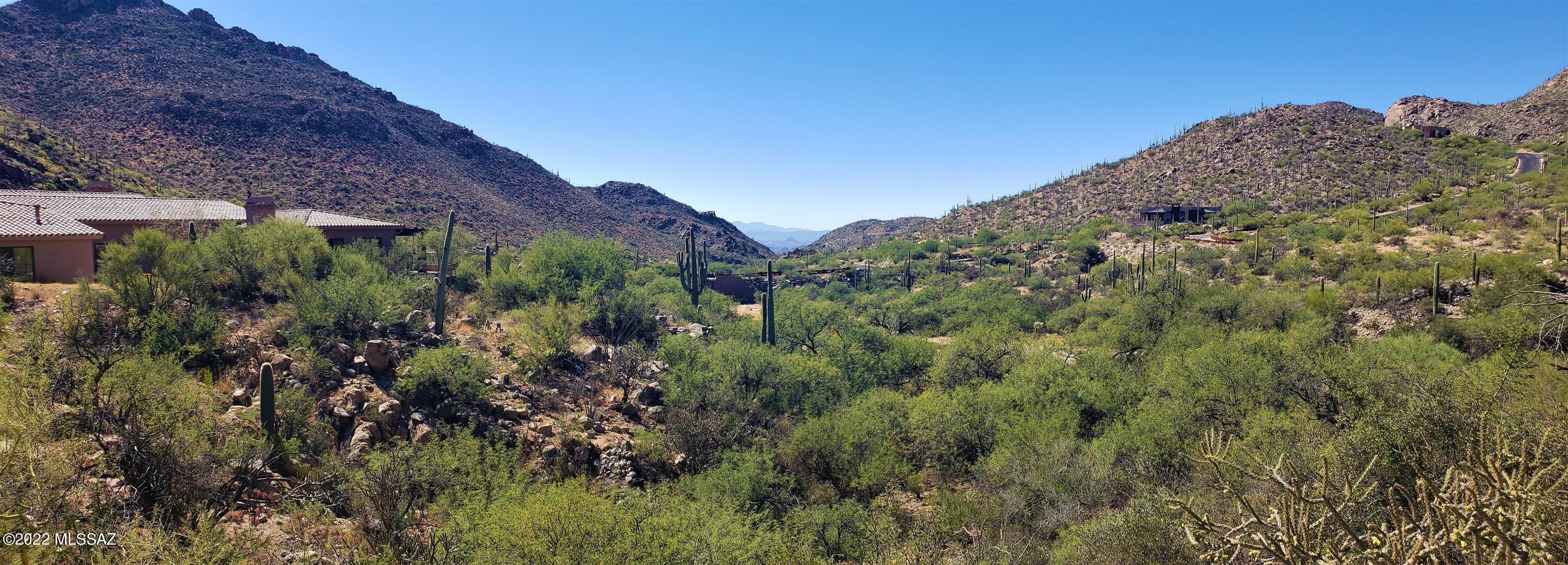 Canyon Pass III At Dove Mountain (111-181) - Land