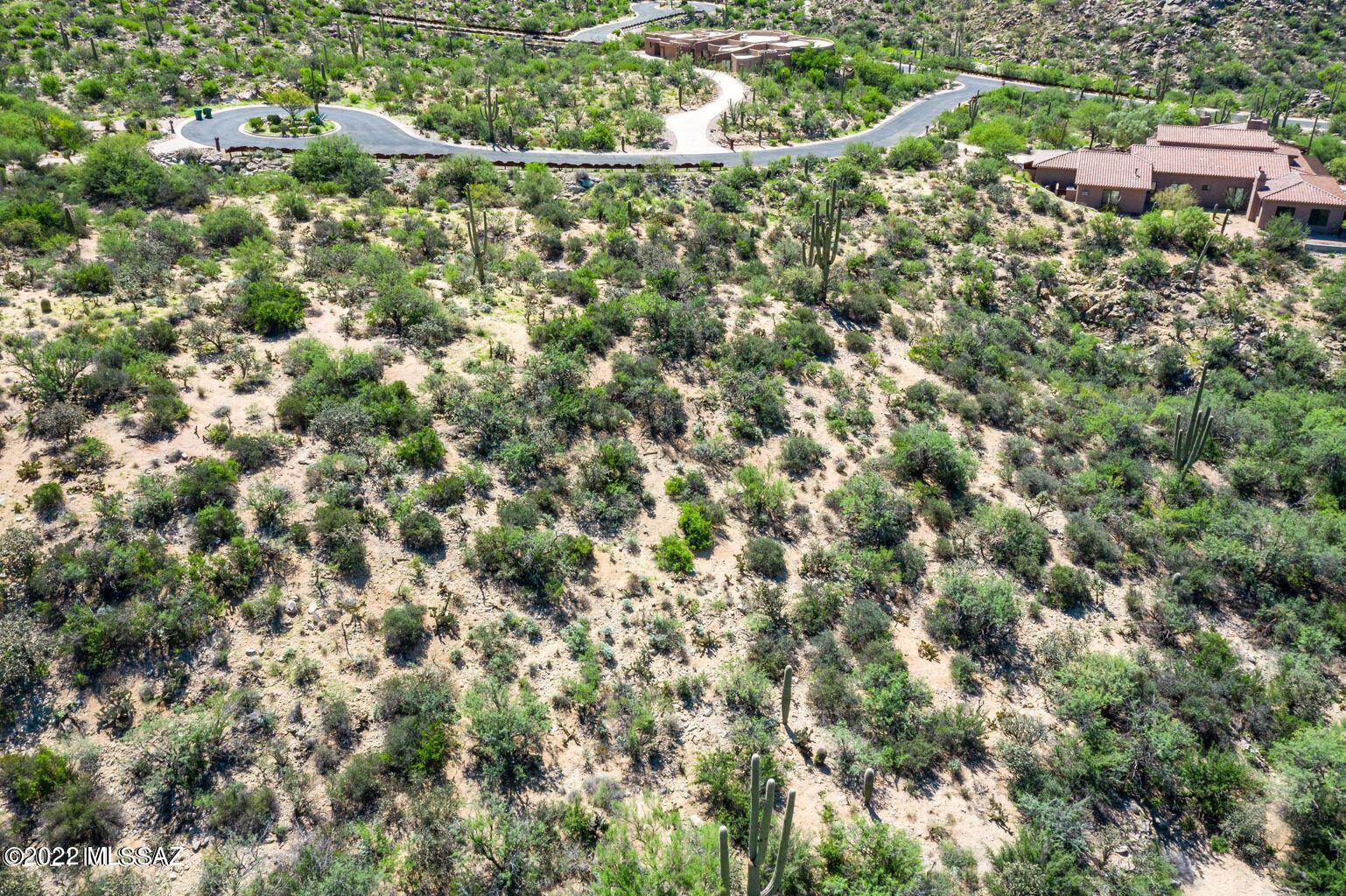 Canyon Pass III At Dove Mountain (111-181) - Land