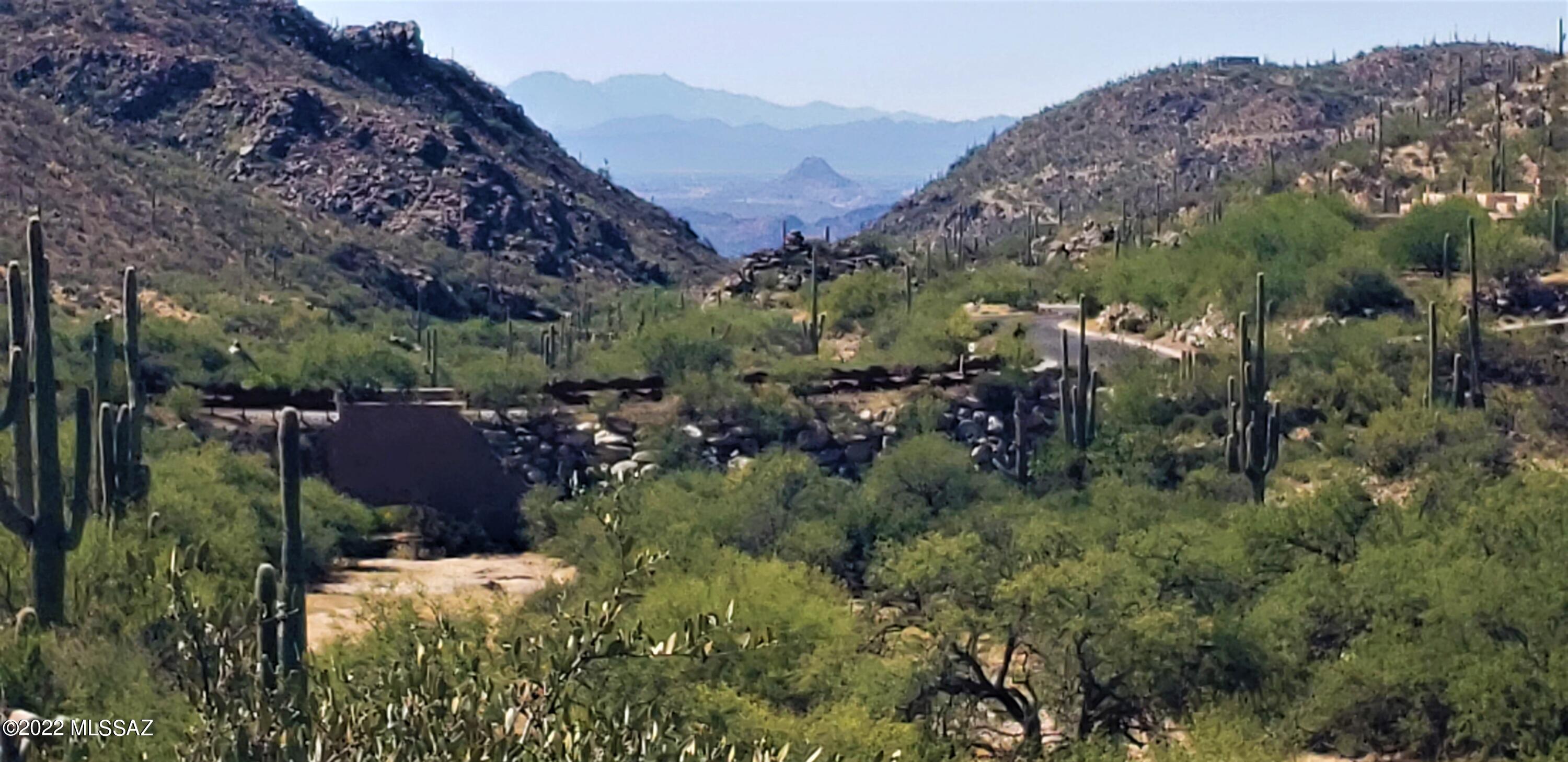Canyon Pass III At Dove Mountain (111-181) - Land