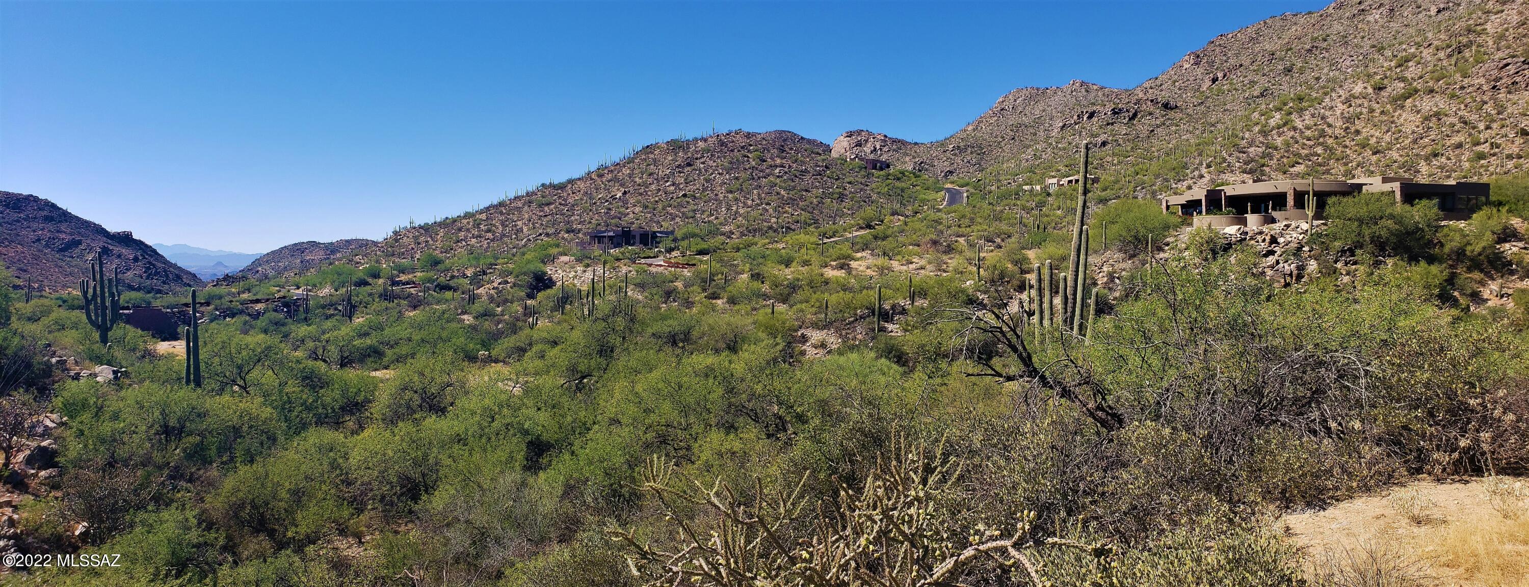 Canyon Pass III At Dove Mountain (111-181) - Land
