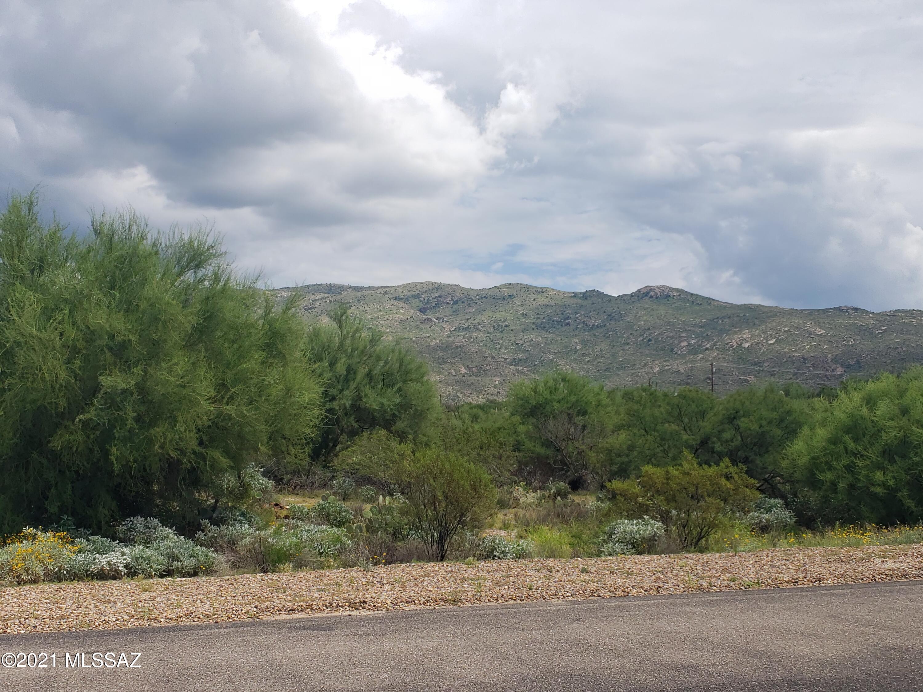 Saguaro Monument Estates - Land