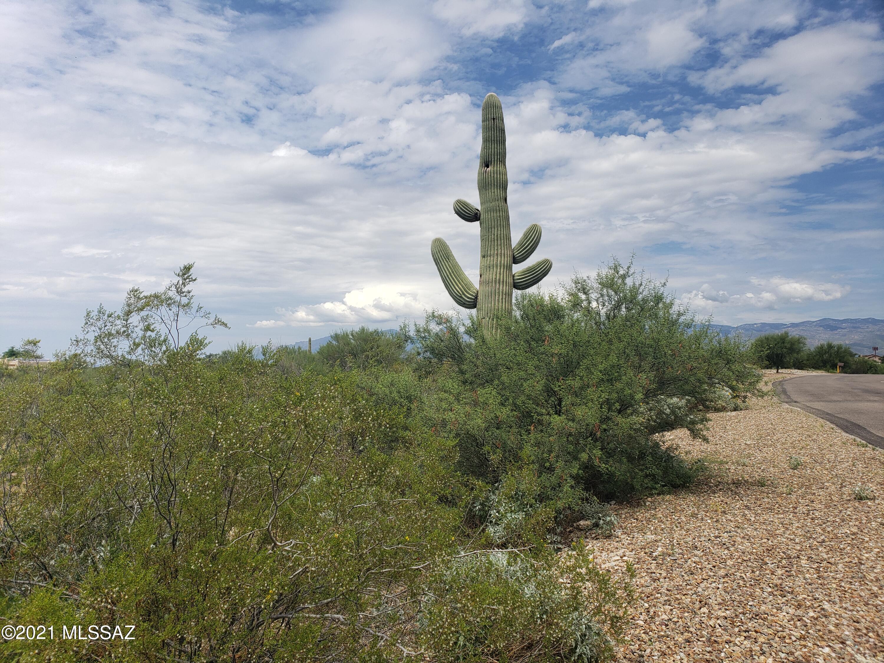 Saguaro Monument Estates - Land