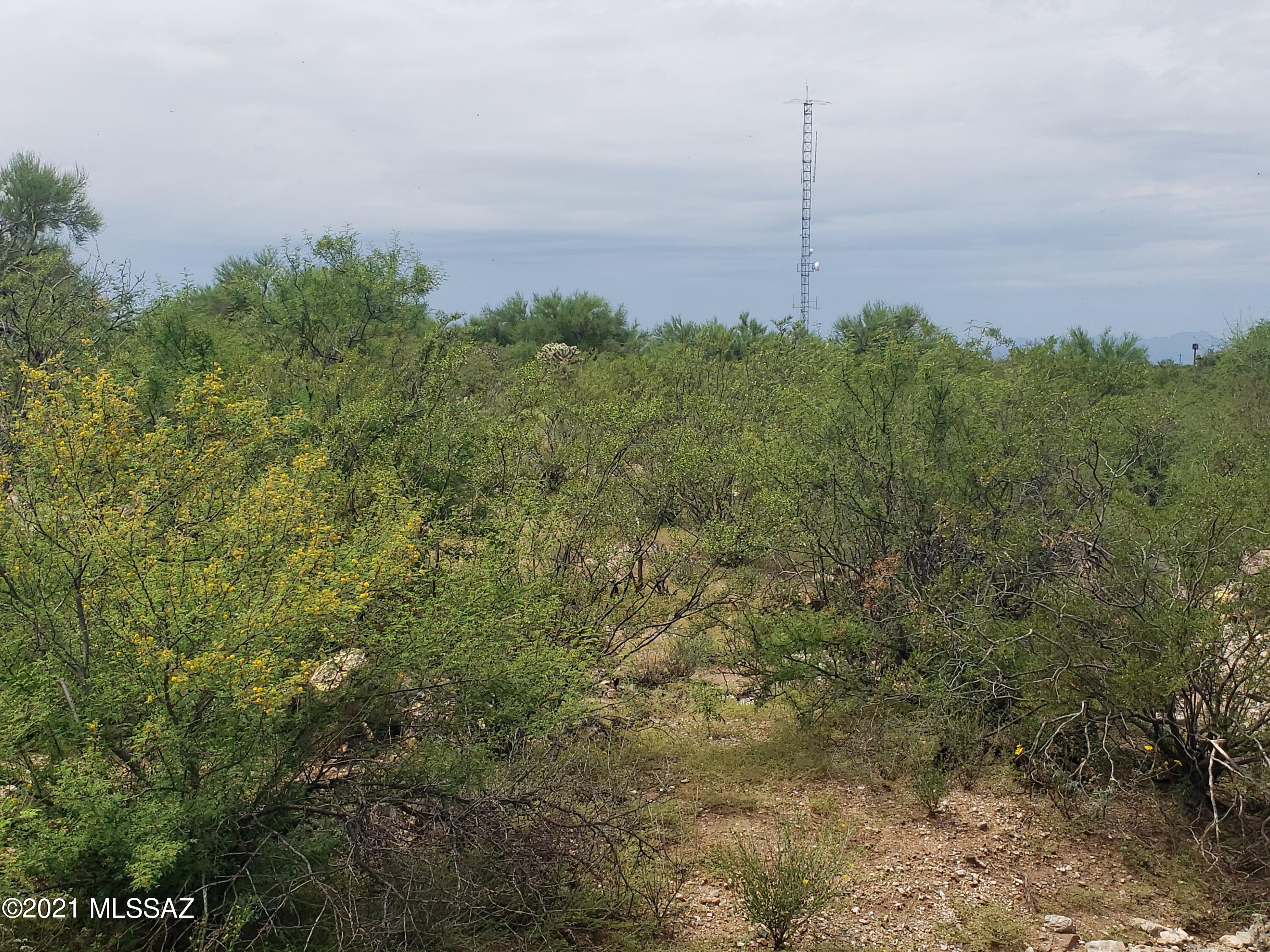 Saguaro Monument Estates - Land