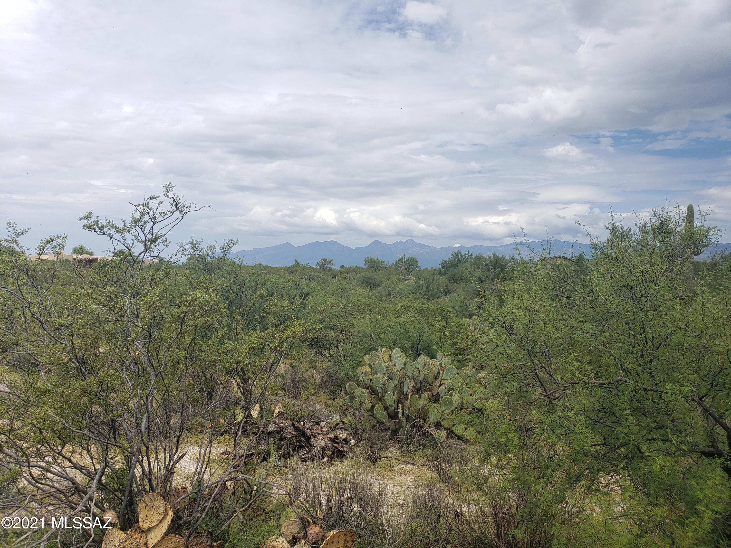 Saguaro Monument Estates - Land