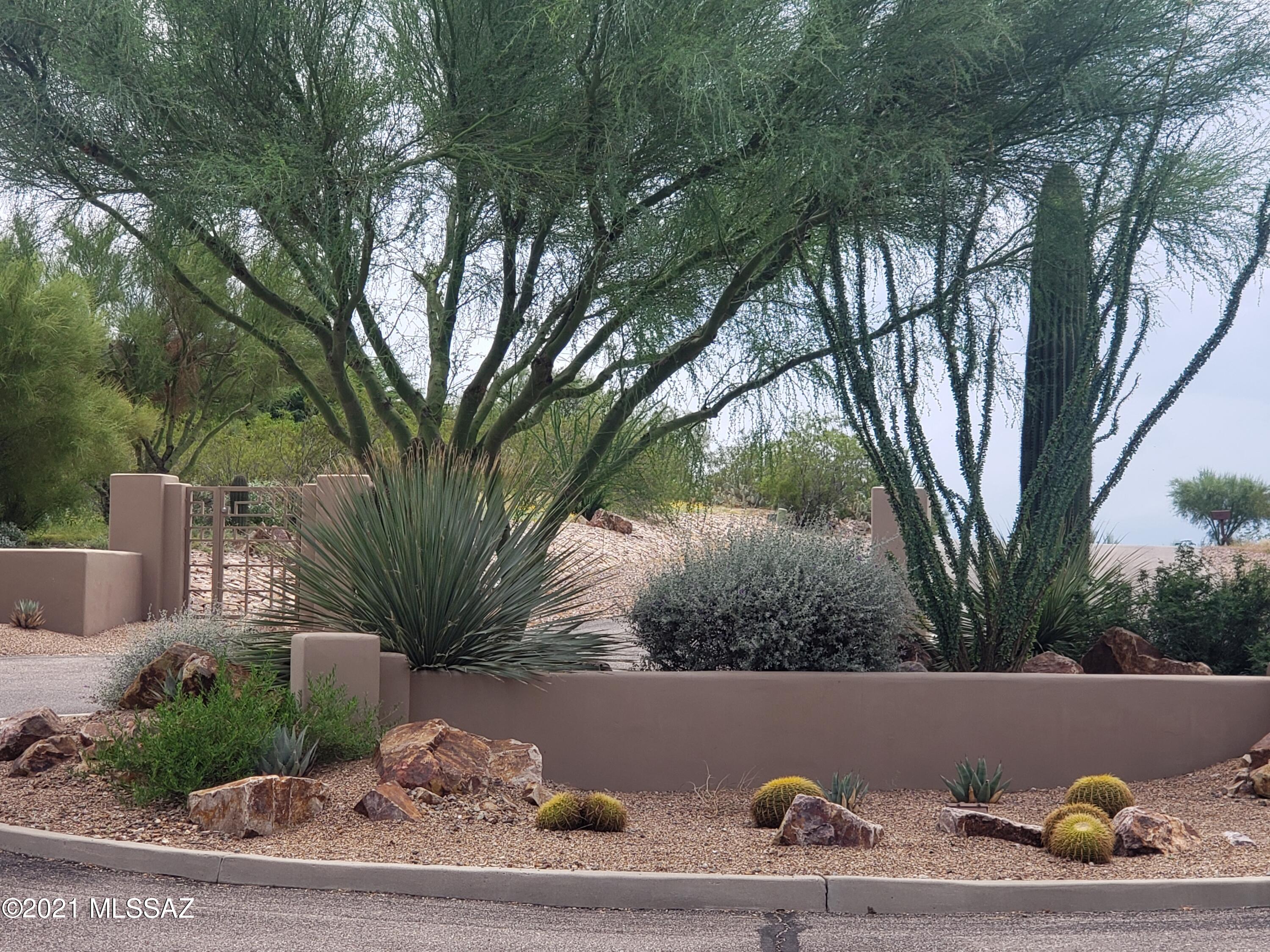 Looking for the perfect location to build your dream home? This is it!! Breathtaking 360 degree views abound.  Luxury gated community located in the Foothills of the Rincon Mountains within walking distance to Saguaro National Monument East. Panoramic mountain and city views in every direction. Beautiful building site on this lush 3.3 acre lot with your choice of builders. Soil evaluation was performed by Pattison Engineering, LLC and will be provided to buyer. Great location, near hiking, biking & riding trails while only minutes to I-10, U of A Tech Park, airport & shopping.