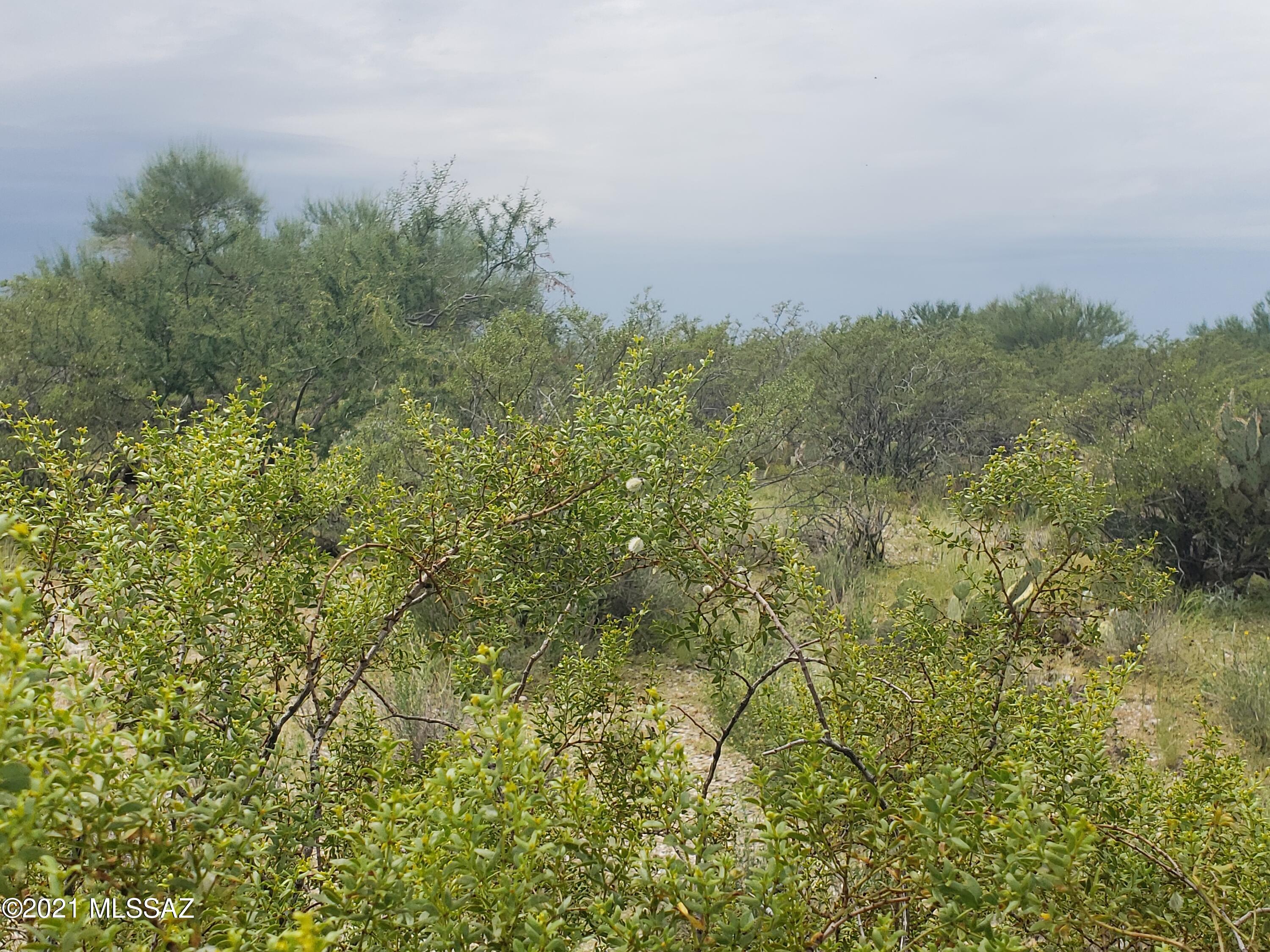Saguaro Monument Estates - Land