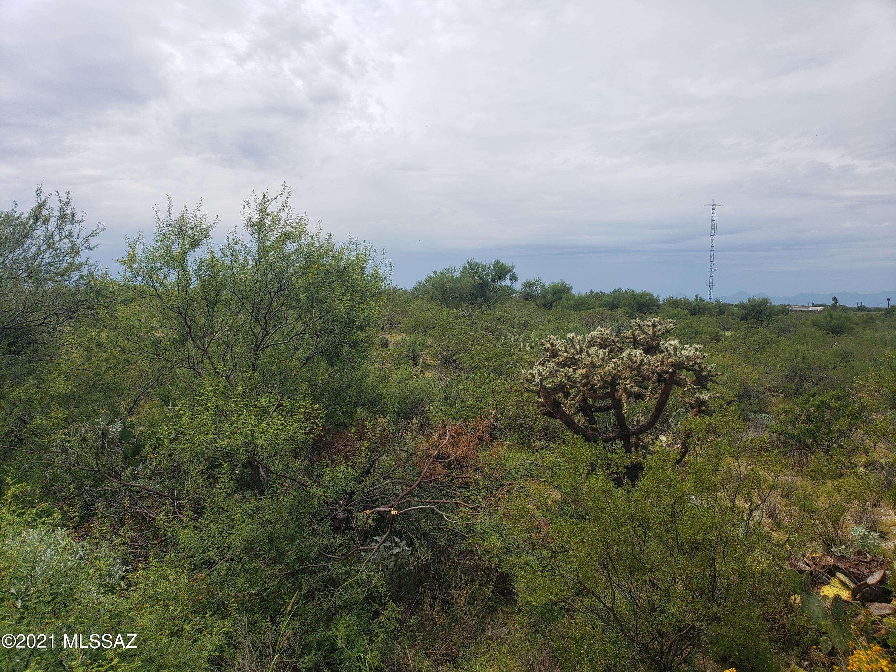 Saguaro Monument Estates - Land