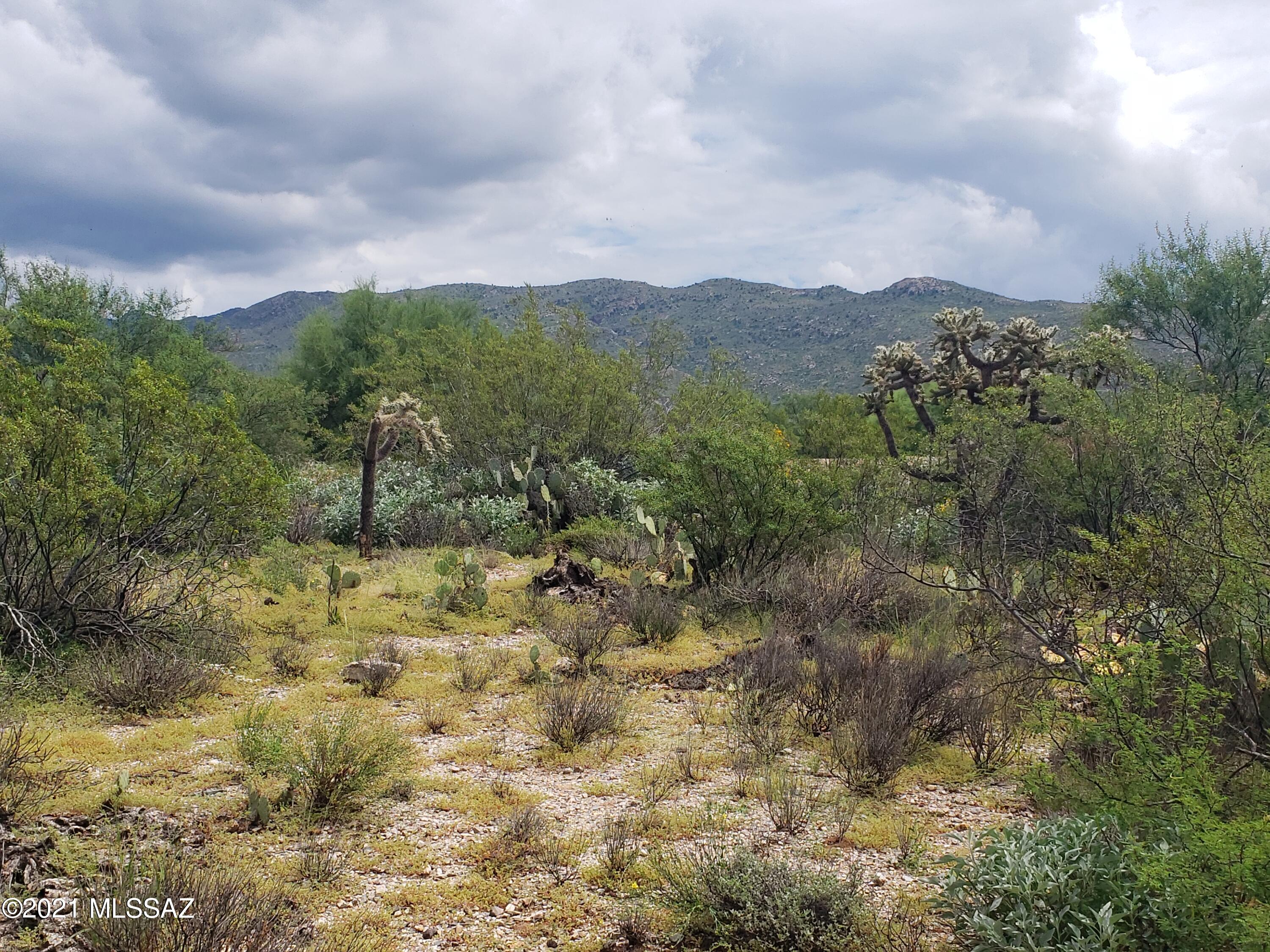 Saguaro Monument Estates - Land