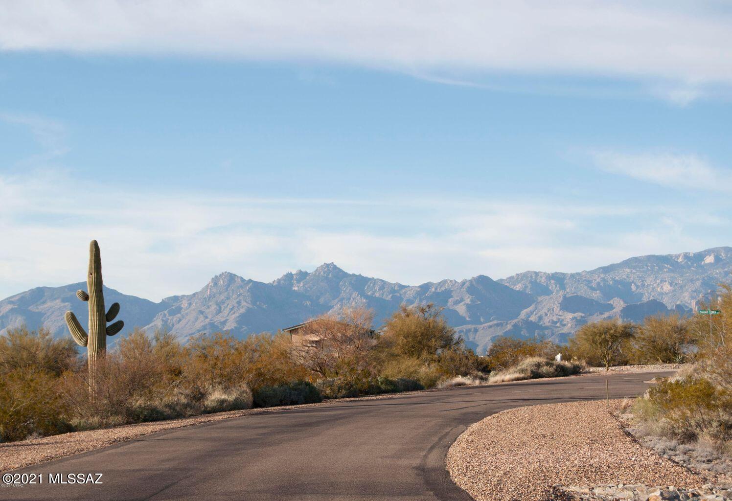 Saguaro Monument Estates - Land