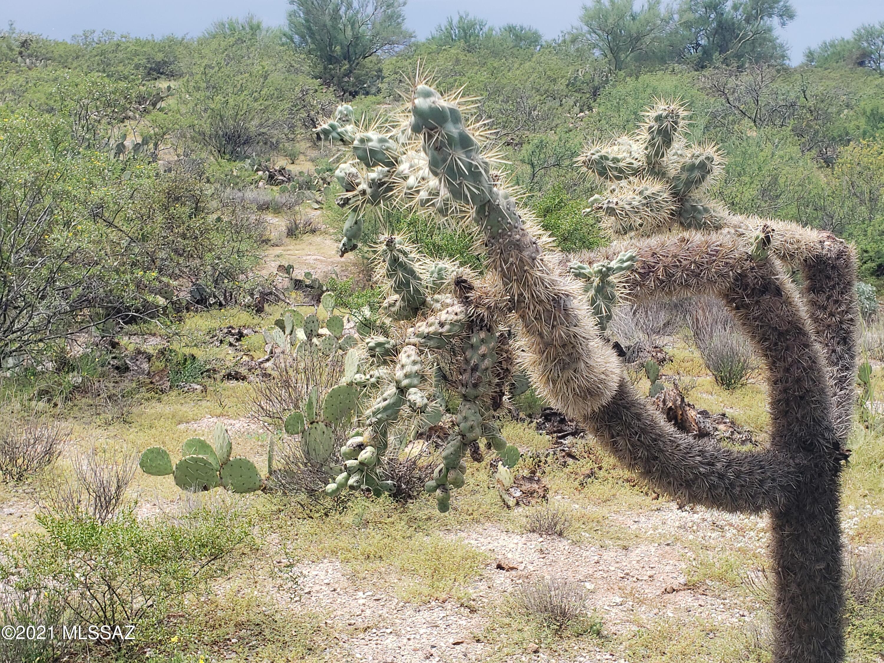 Saguaro Monument Estates - Land