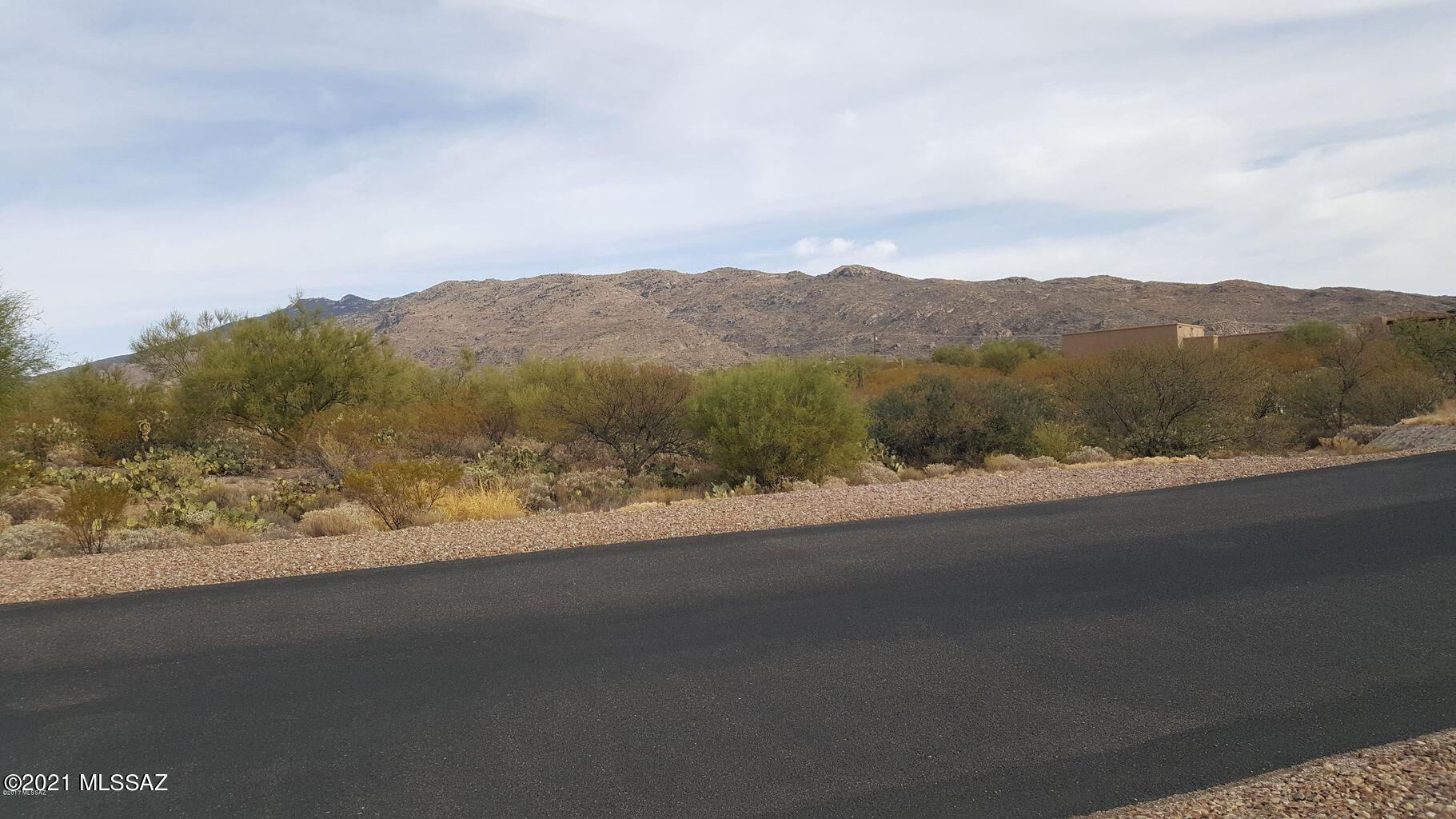 Saguaro Monument Estates - Land