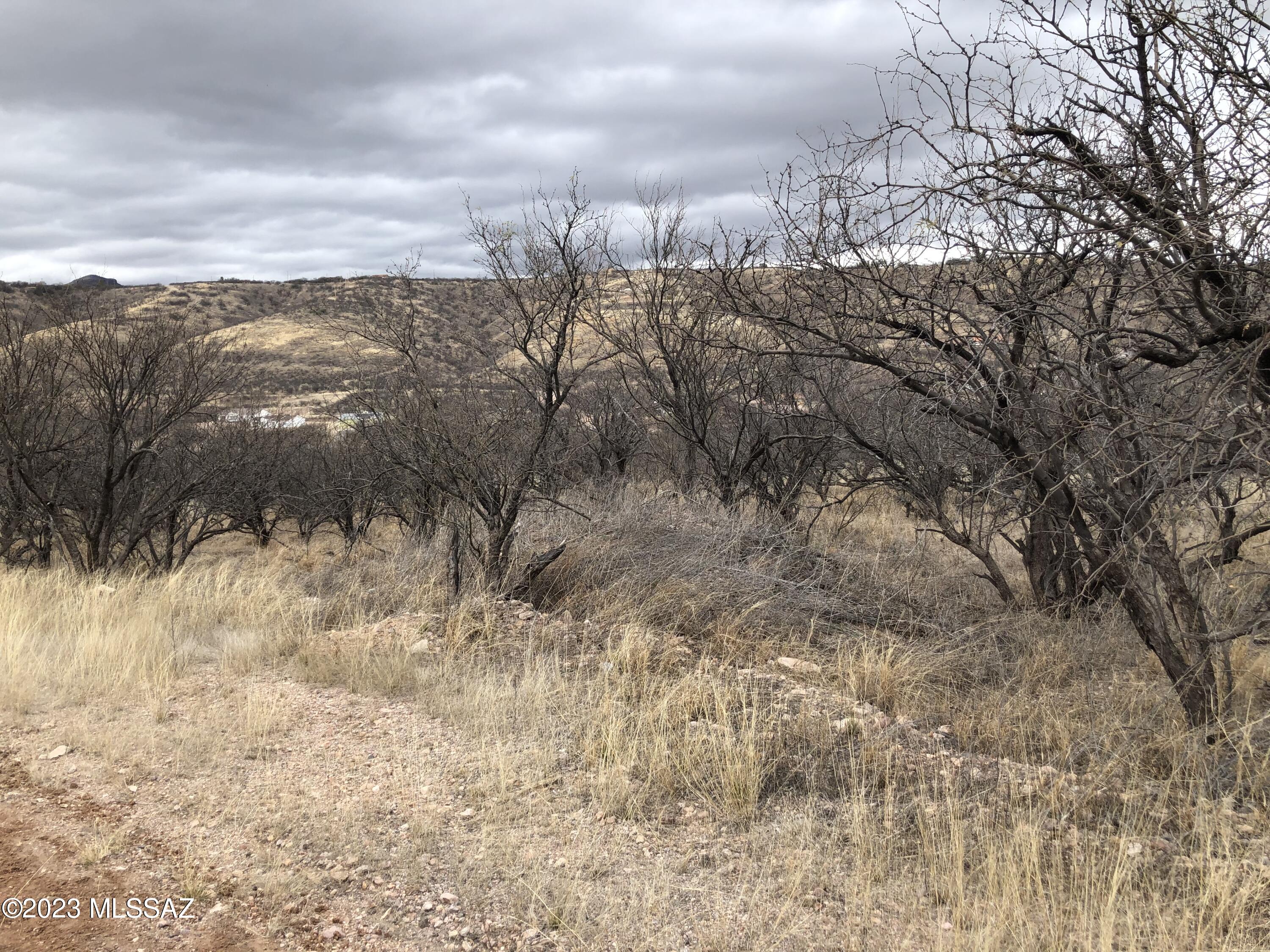 Rio Rico Ranchettes 9 - Land