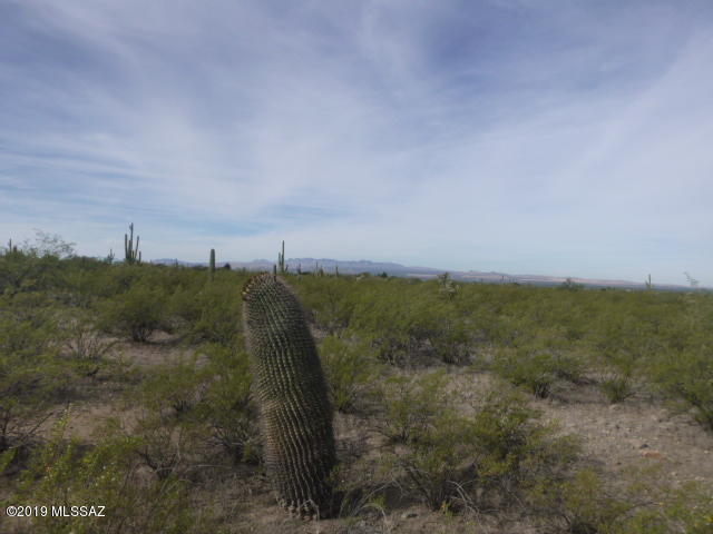 Entrada Estates - Land