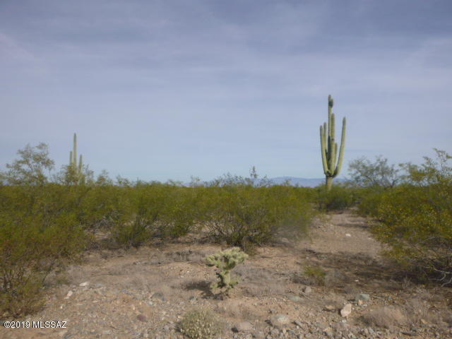 Entrada Estates - Land