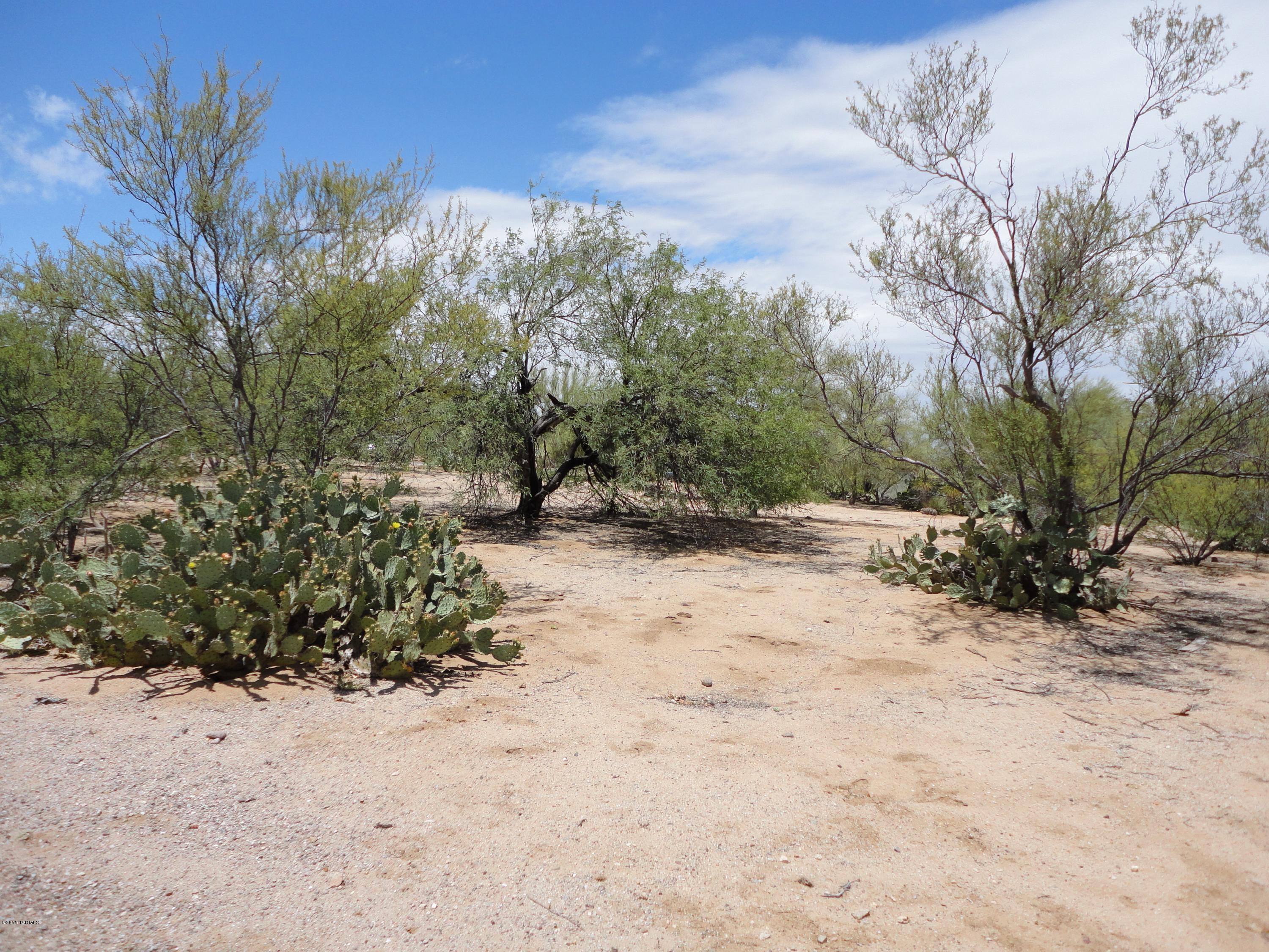 Green Valley Vista(1-74) - Land