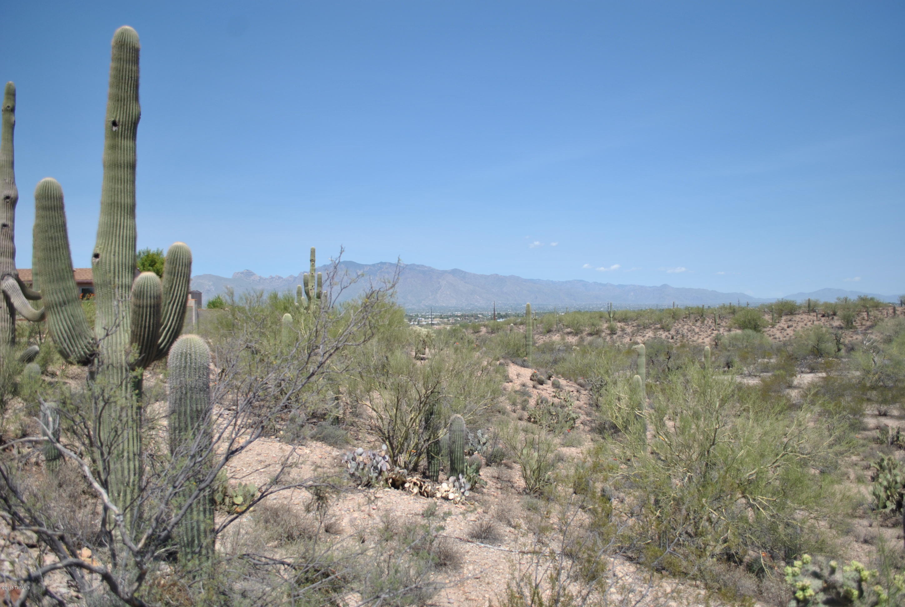 North Desert Hills (1-47) - Land