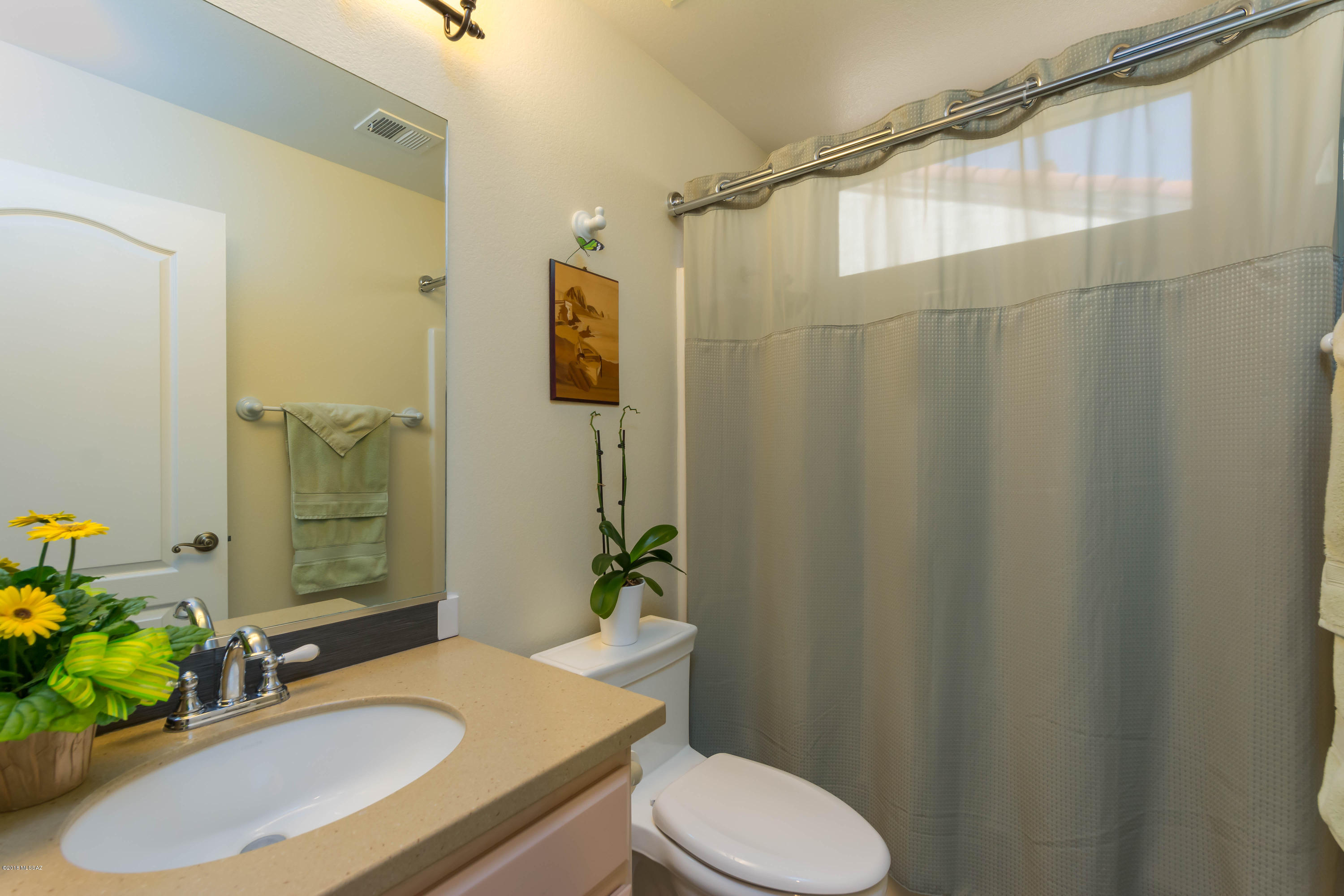 Sun City Vistoso Unit 10(1-113) - Residential