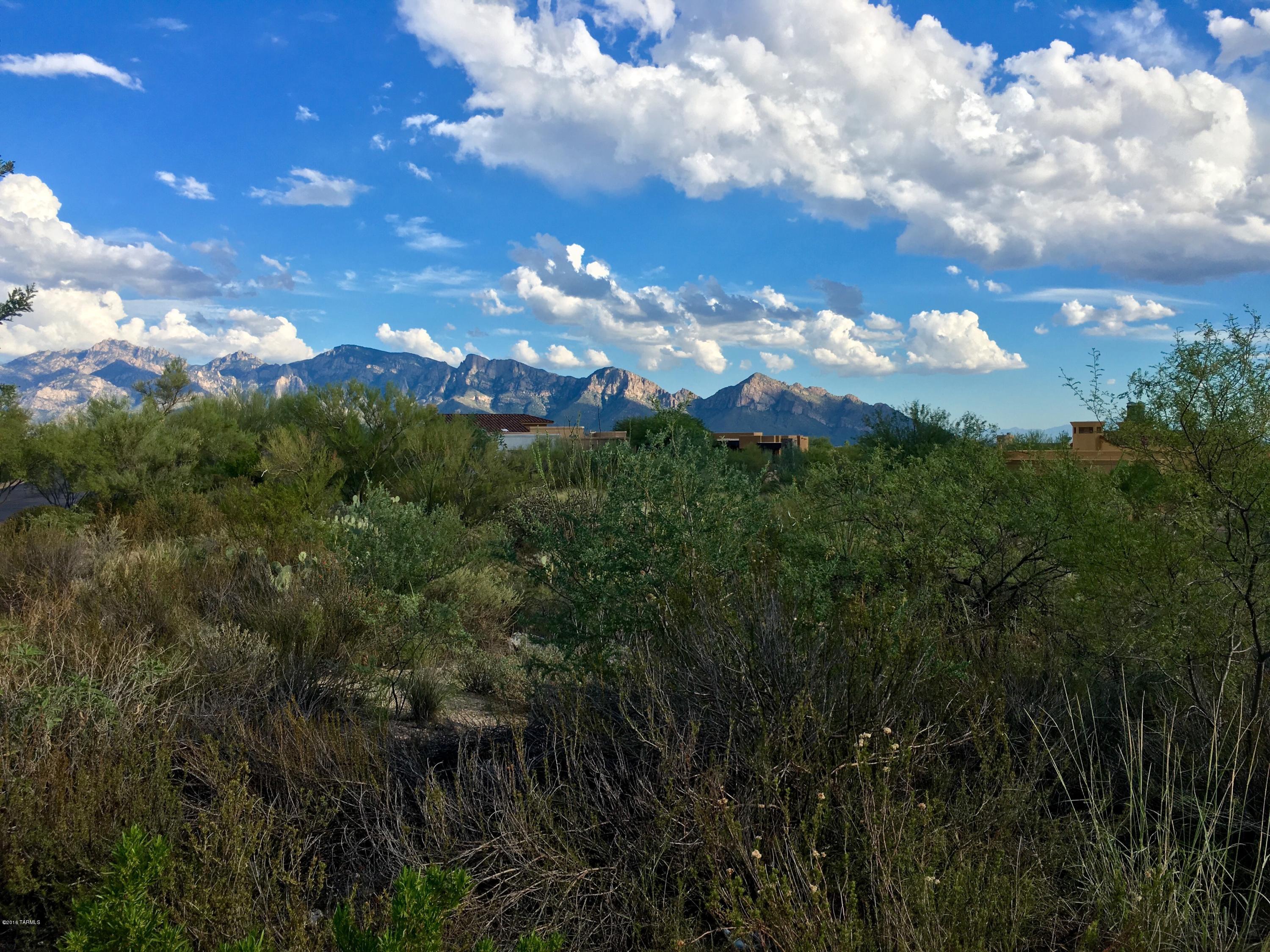 Stone Canyon I - Land